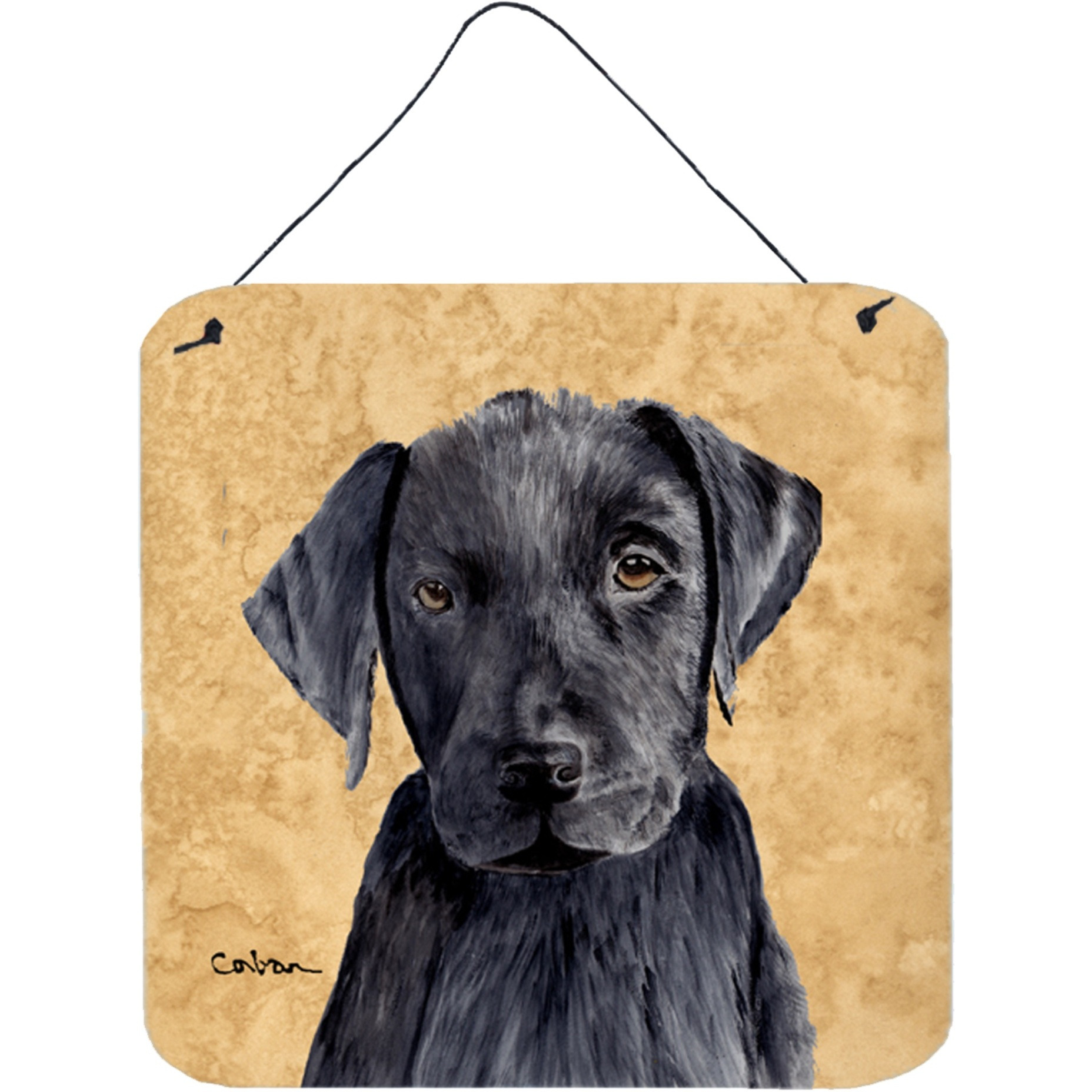 &quotCaroline's Treasures SC9136DS66 Labrador Aluminum Metal Wall or Door Hanging Prints, 6 x 6"", Multicolor"