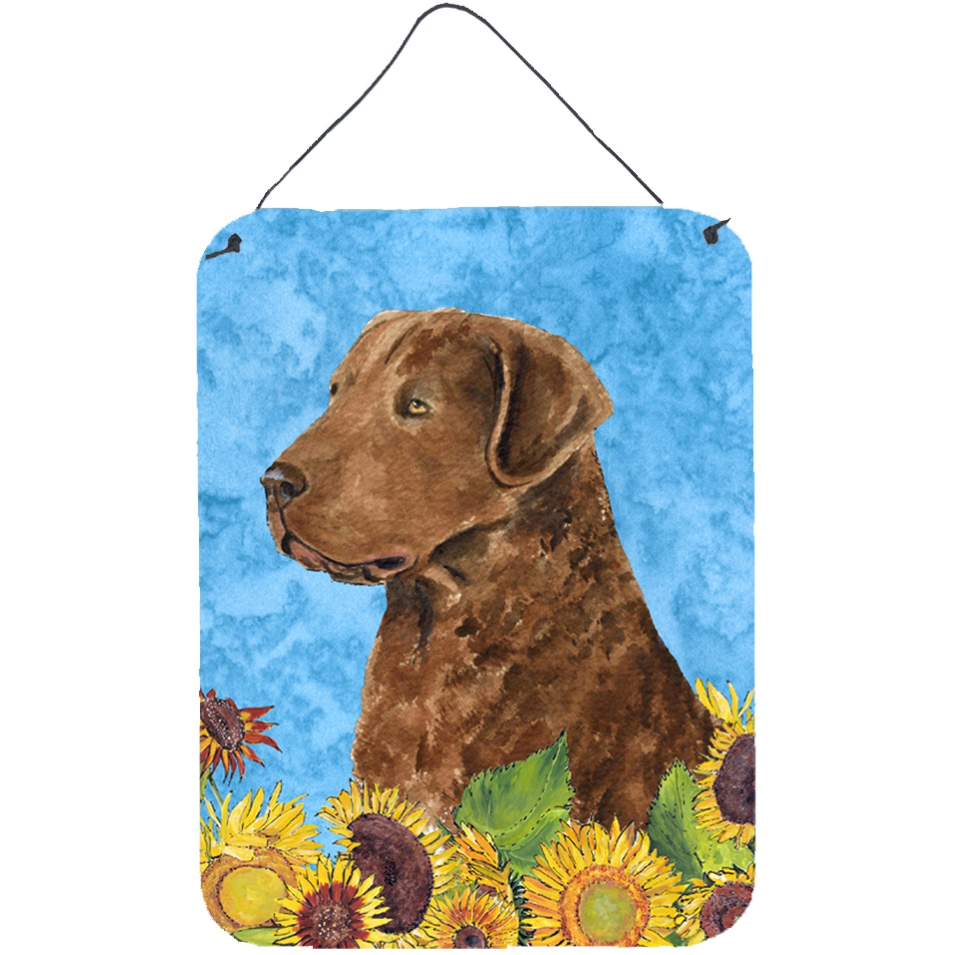 &quotCaroline's Treasures SS4165DS1216 Curly Coated Retriever Aluminium Metal Wall or Door Hanging Prints, 16"" x 12"", Multicolor"