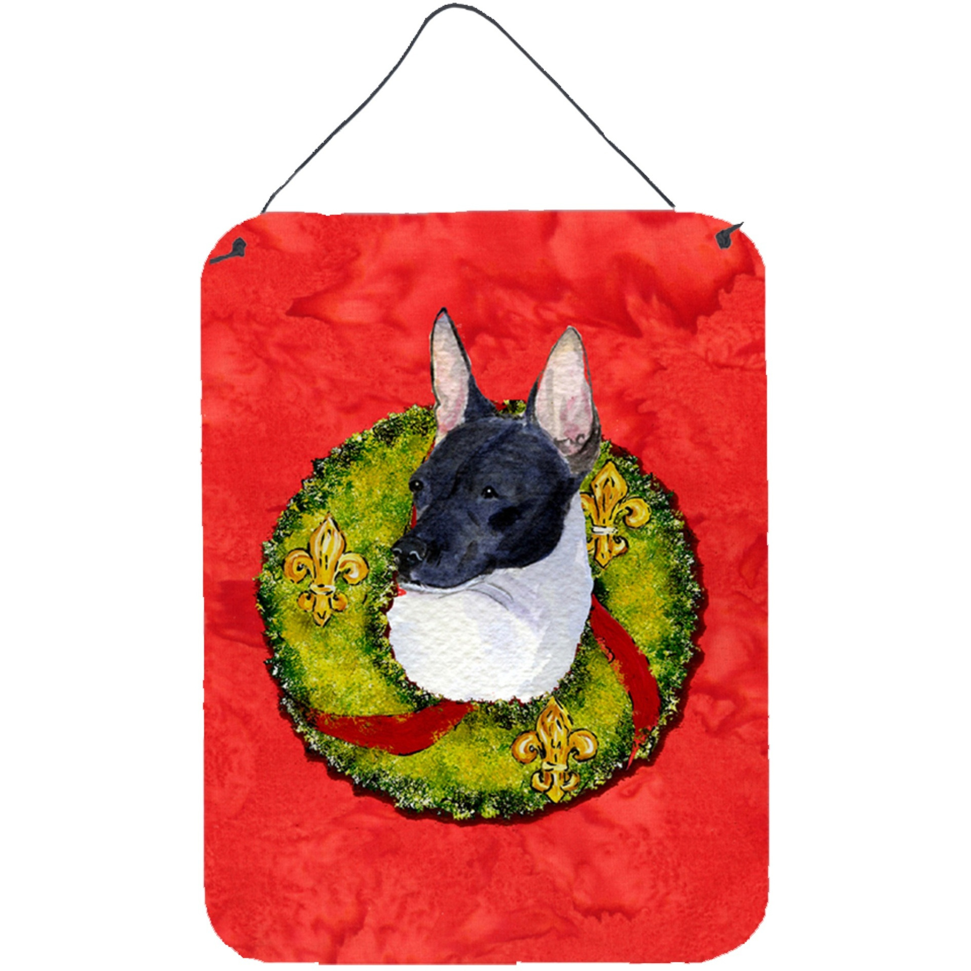 &quotCaroline's Treasures SS4170DS1216 Rat Terrier Aluminium Metal Wall or Door Hanging Prints, 16"" x 12"", Multicolor"