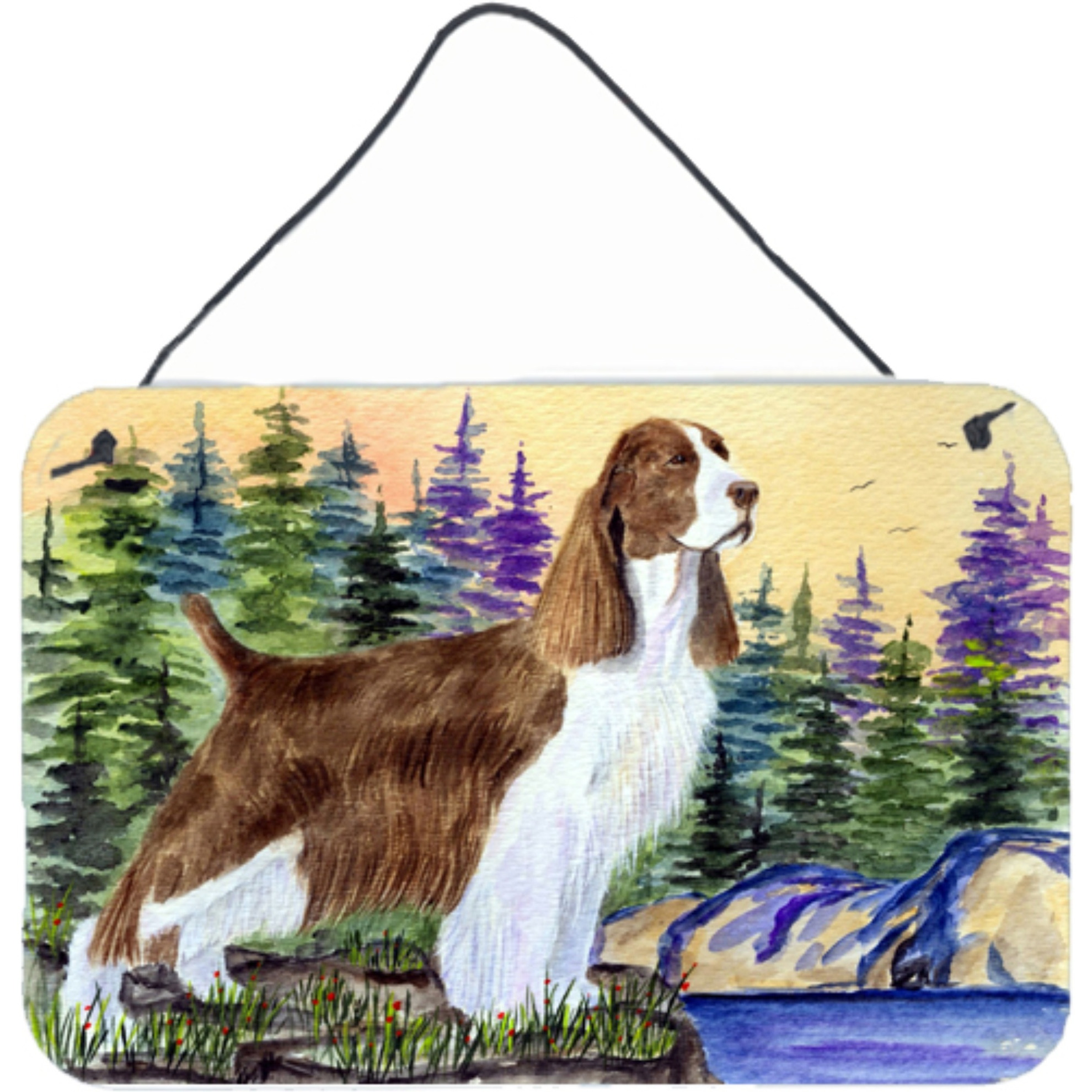 &quotCaroline's Treasures SS8105DS812 Springer Spaniel Indoor Aluminum Metal Wall or Door Hanging Prints, 8 x 12"", Multicolor"