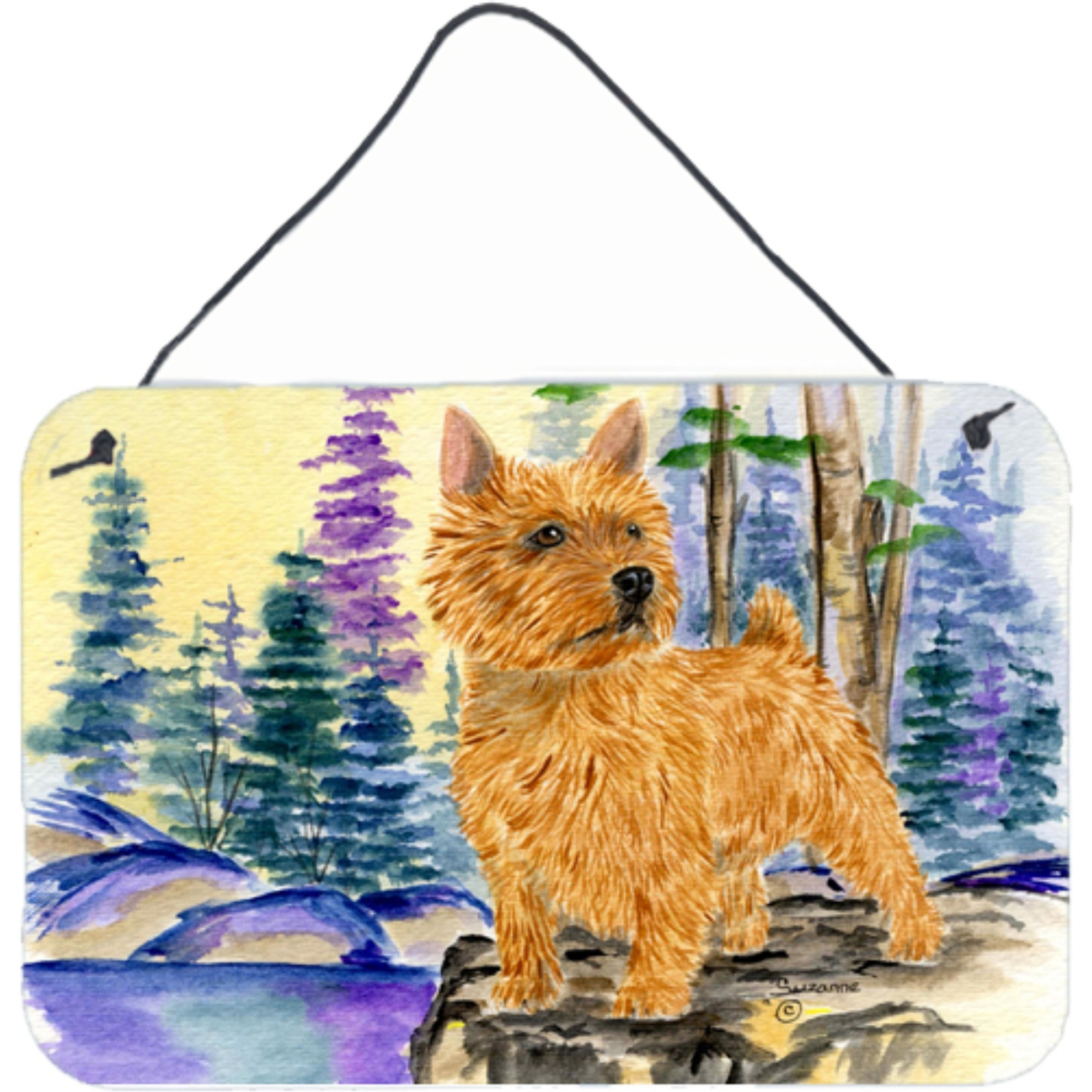 &quotCaroline's Treasures SS8011DS812 Norwich Terrier Indoor Aluminum Metal Wall or Door Hanging Prints, 8 x 12"", Multicolor"