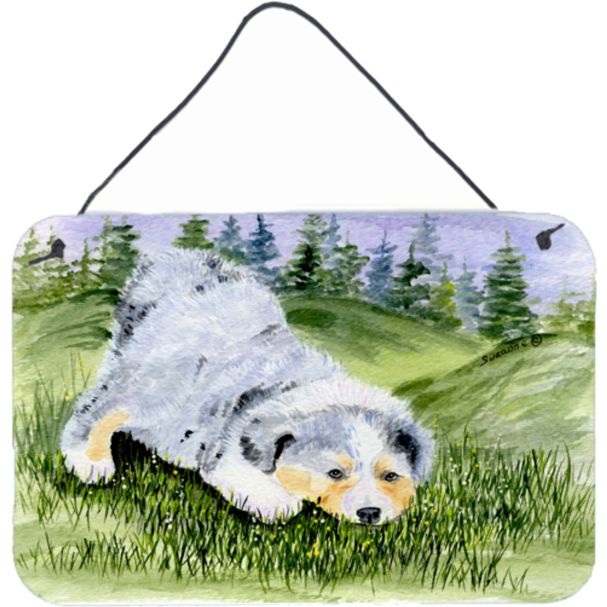 &quotCaroline's Treasures Australian Shepherd Indoor Aluminium Metal Door Hanging Prints wall-decor, 8 x 12, Multicolor"