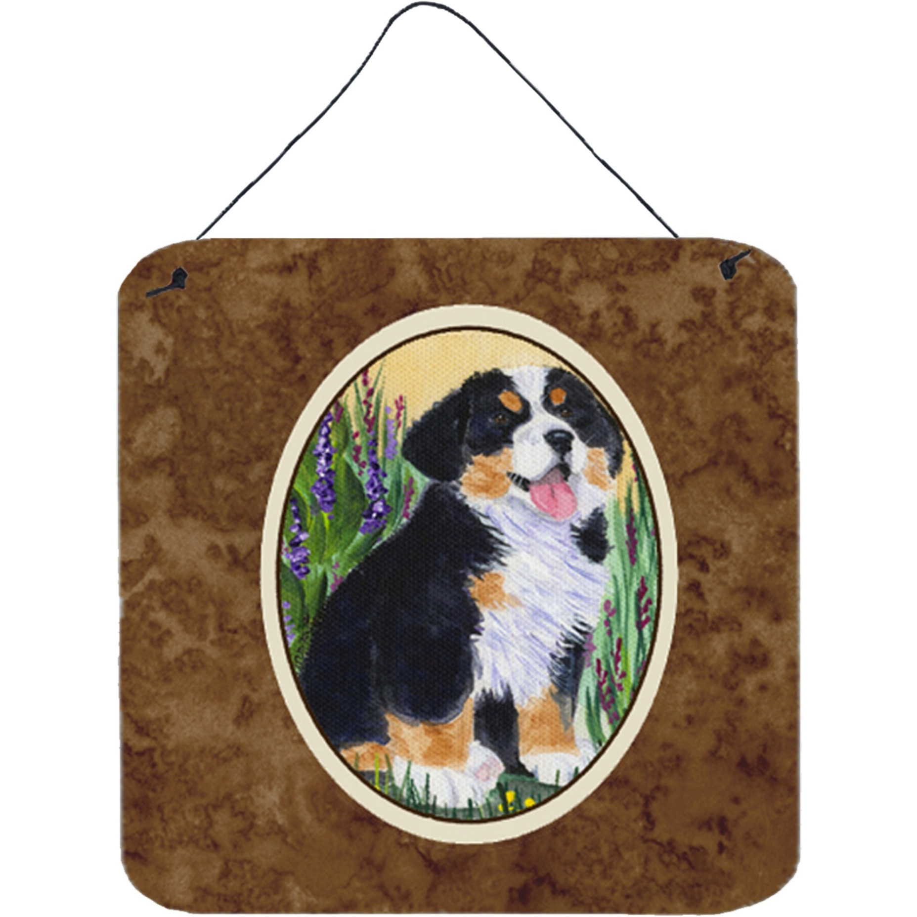 &quotCaroline's Treasures SS8215DS66 Bernese Mountain Dog Aluminum Metal Wall or Door Hanging Prints, 6 x 6"", Multicolor"