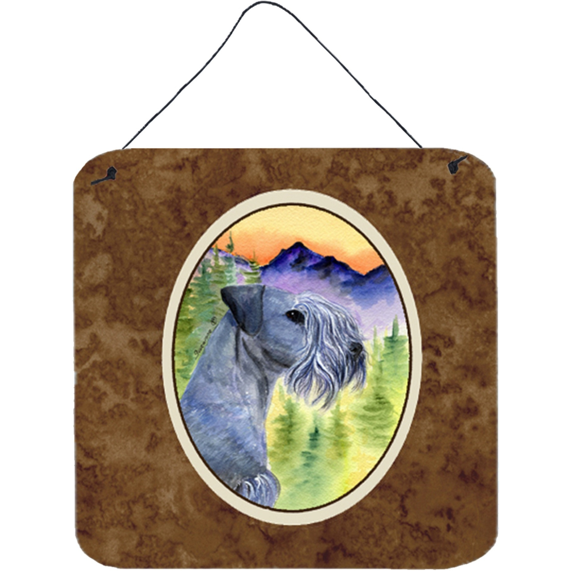 &quotCaroline's Treasures Cesky Terrier Aluminum Metal Wall or Door Hanging Prints, 6 x 6"", Multicolor"