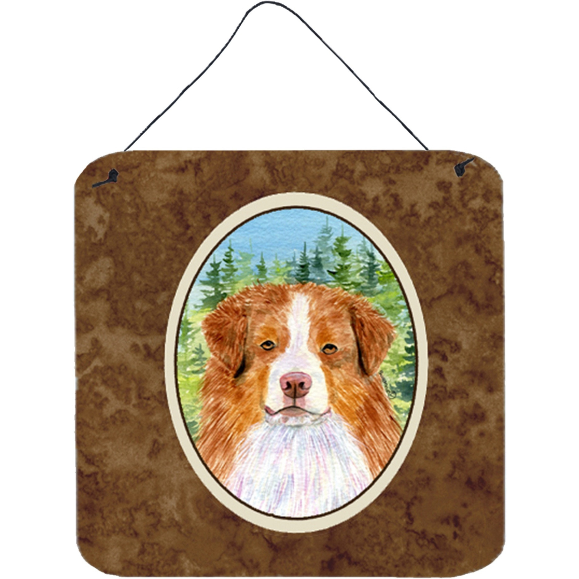 &quotCaroline's Treasures SS8317DS66 Australian Shepherd Aluminum Metal Wall or Door Hanging Prints, 6 x 6"", Multicolor"