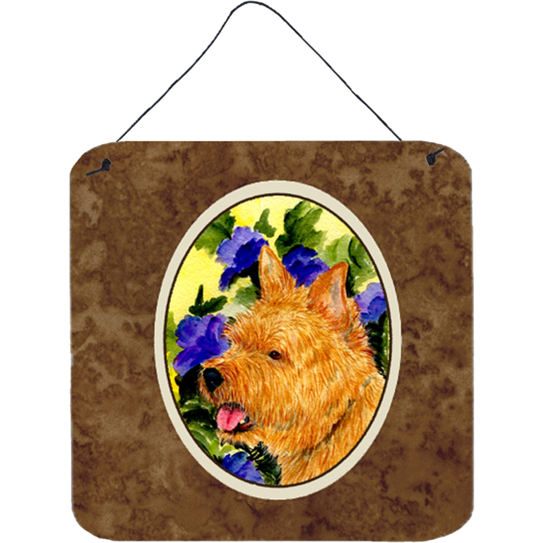 &quotCaroline's Treasures SS8421DS66 Norwich Terrier Aluminum Metal Wall or Door Hanging Prints, 6 x 6"", Multicolor"