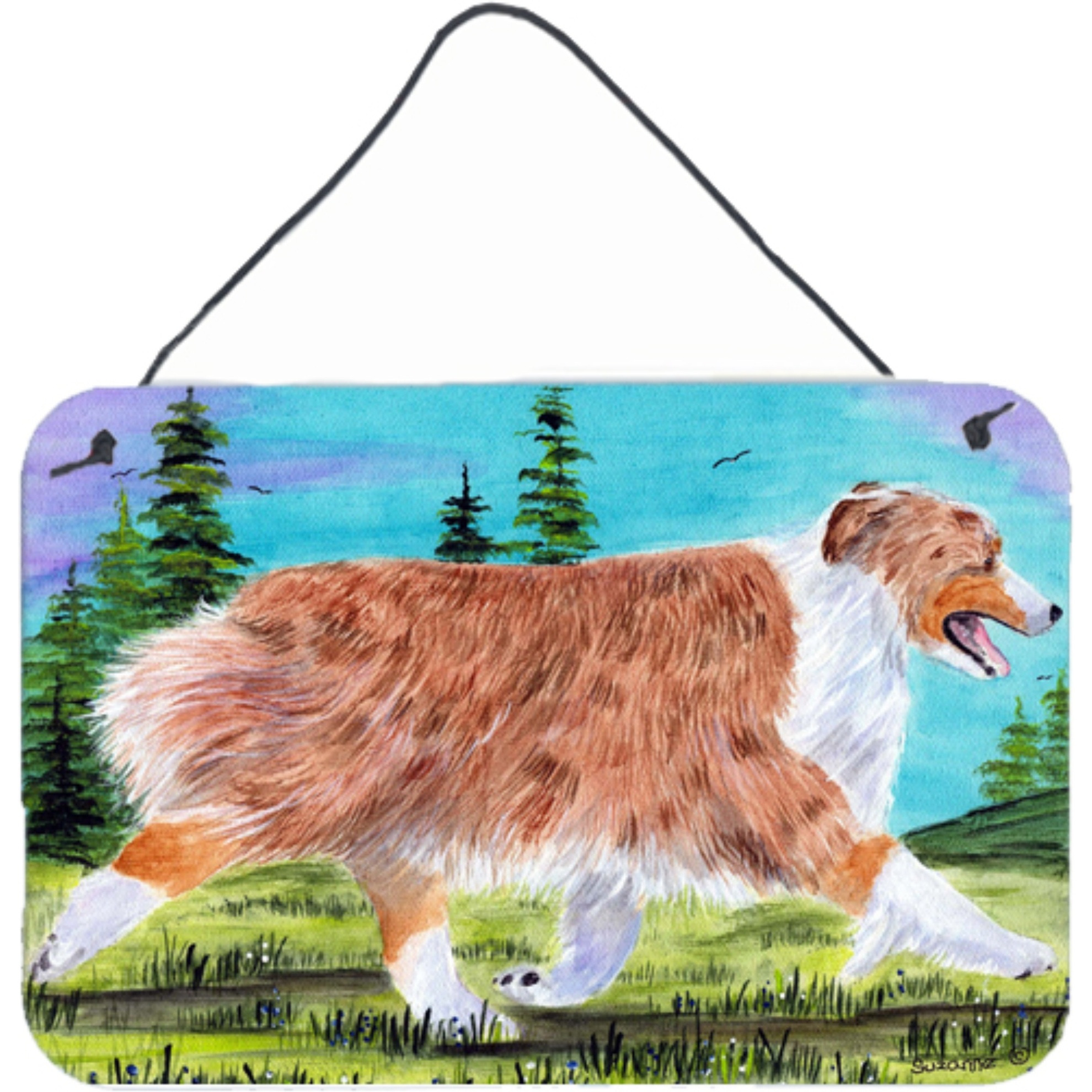 &quotCaroline's Treasures SS8423DS812 Australian Shepherd Indoor Aluminum Metal Wall or Door Hanging Prints, 8 x 12"", Multicolor"