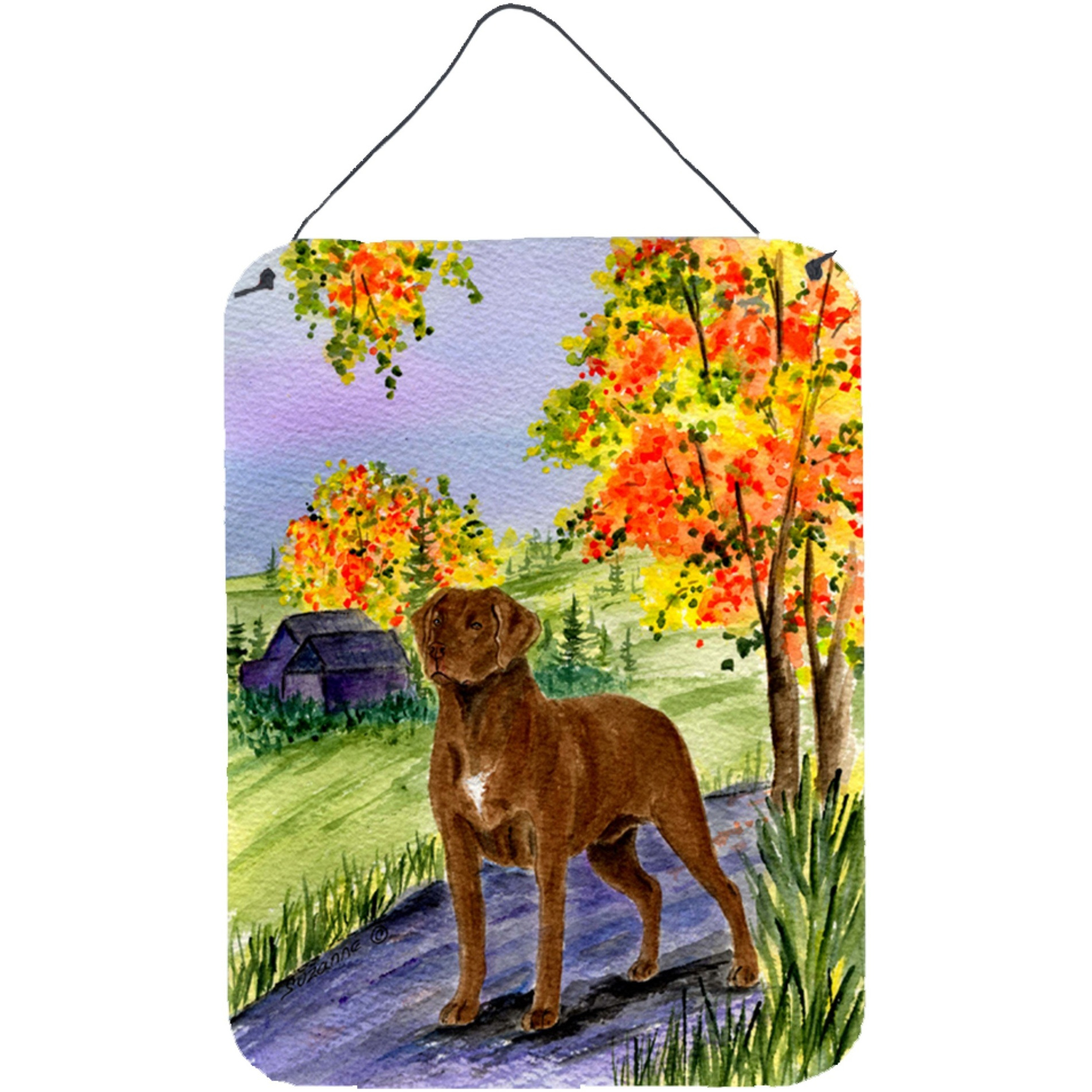 &quotCaroline's Treasures SS8427DS1216 Chesapeake Bay Retriever Aluminium Metal Wall or Door Hanging Prints, 16"" x 12"", Multicolor"