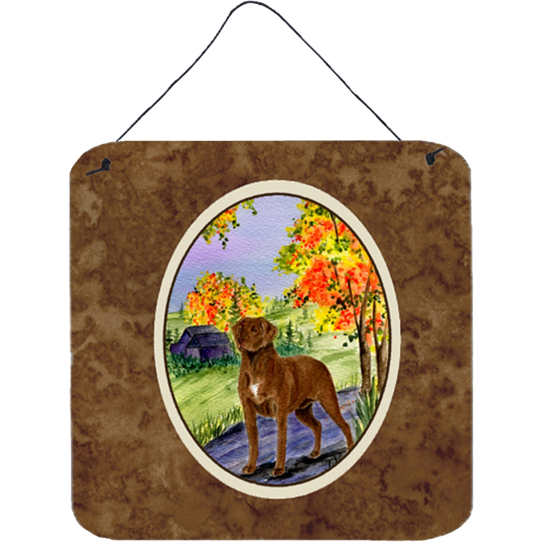 &quotCaroline's Treasures SS8427DS66 Chesapeake Bay Retriever Aluminum Metal Wall or Door Hanging Prints, 6 x 6"", Multicolor"