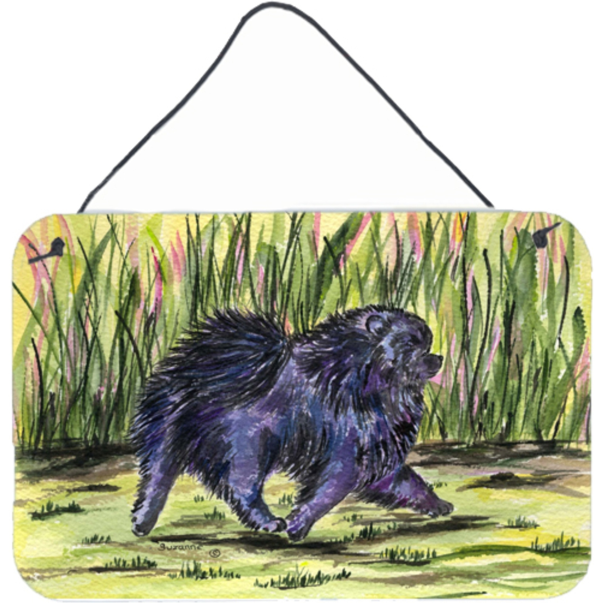 &quotCaroline's Treasures SS8444DS812 Pomeranian Indoor Aluminum Metal Wall or Door Hanging Prints, 8 x 12"", Multicolor"