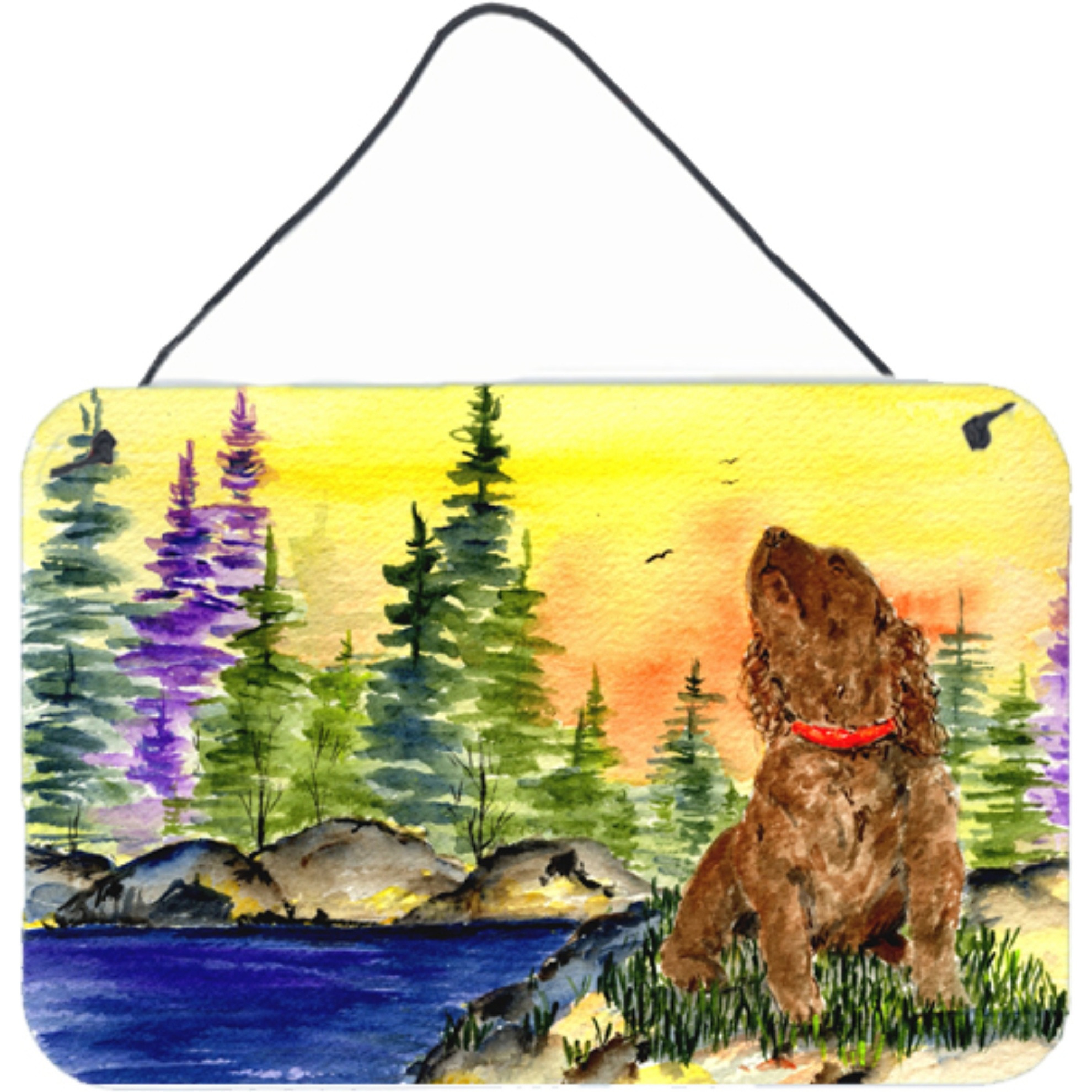 &quotCaroline's Treasures American Water Spaniel Indoor Aluminum Metal Wall or Door Hanging Prints, 8 x 12"", Multicolor"