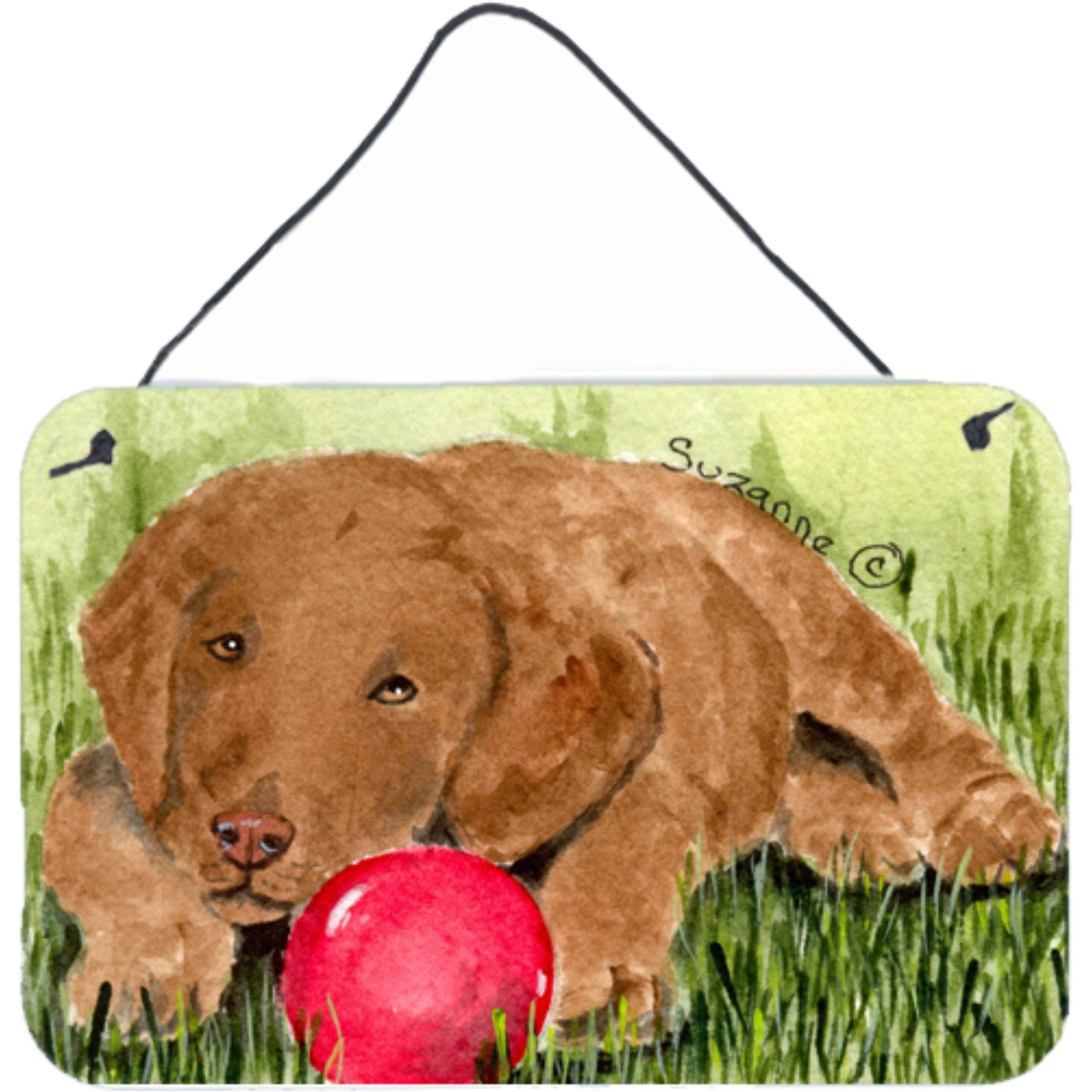 &quotCaroline's Treasures SS8684DS812 Curly Coated Retriever Indoor Aluminum Metal Wall or Door Hanging Prints, 8 x 12"", Multicolor"