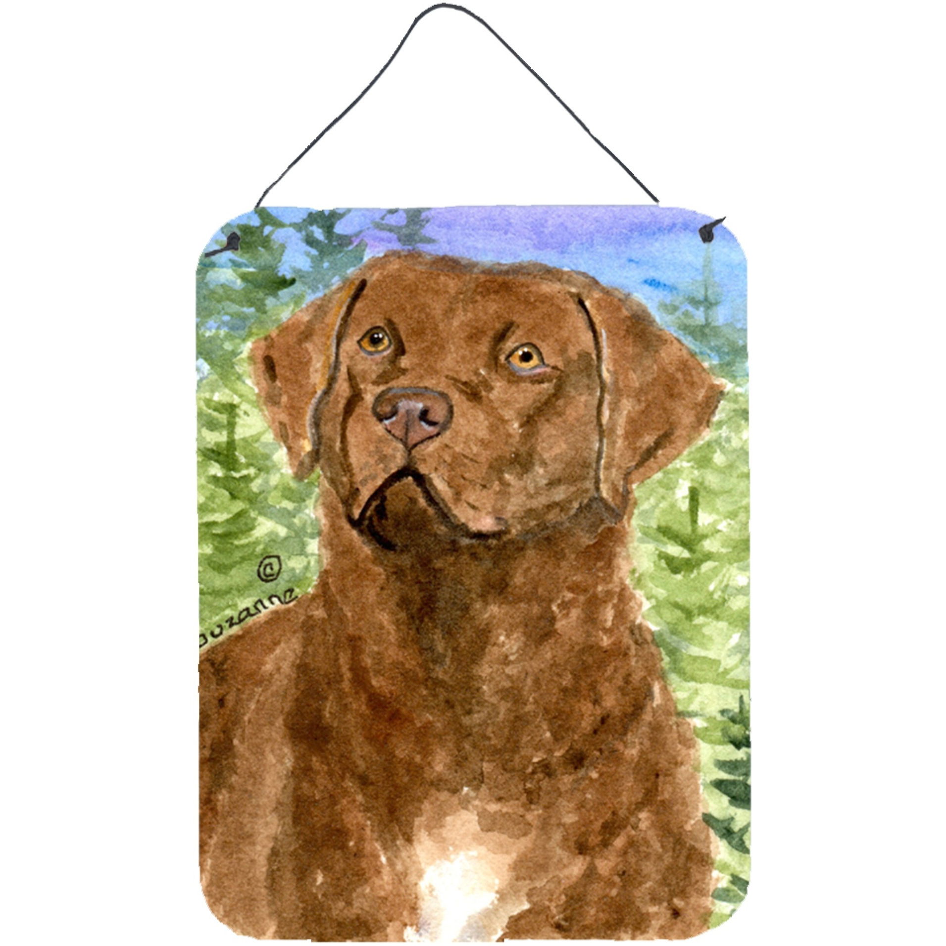 &quotCaroline's Treasures SS8933DS1216 Chesapeake Bay Retriever Aluminium Metal Wall or Door Hanging Prints, 16"" x 12"", Multicolor"