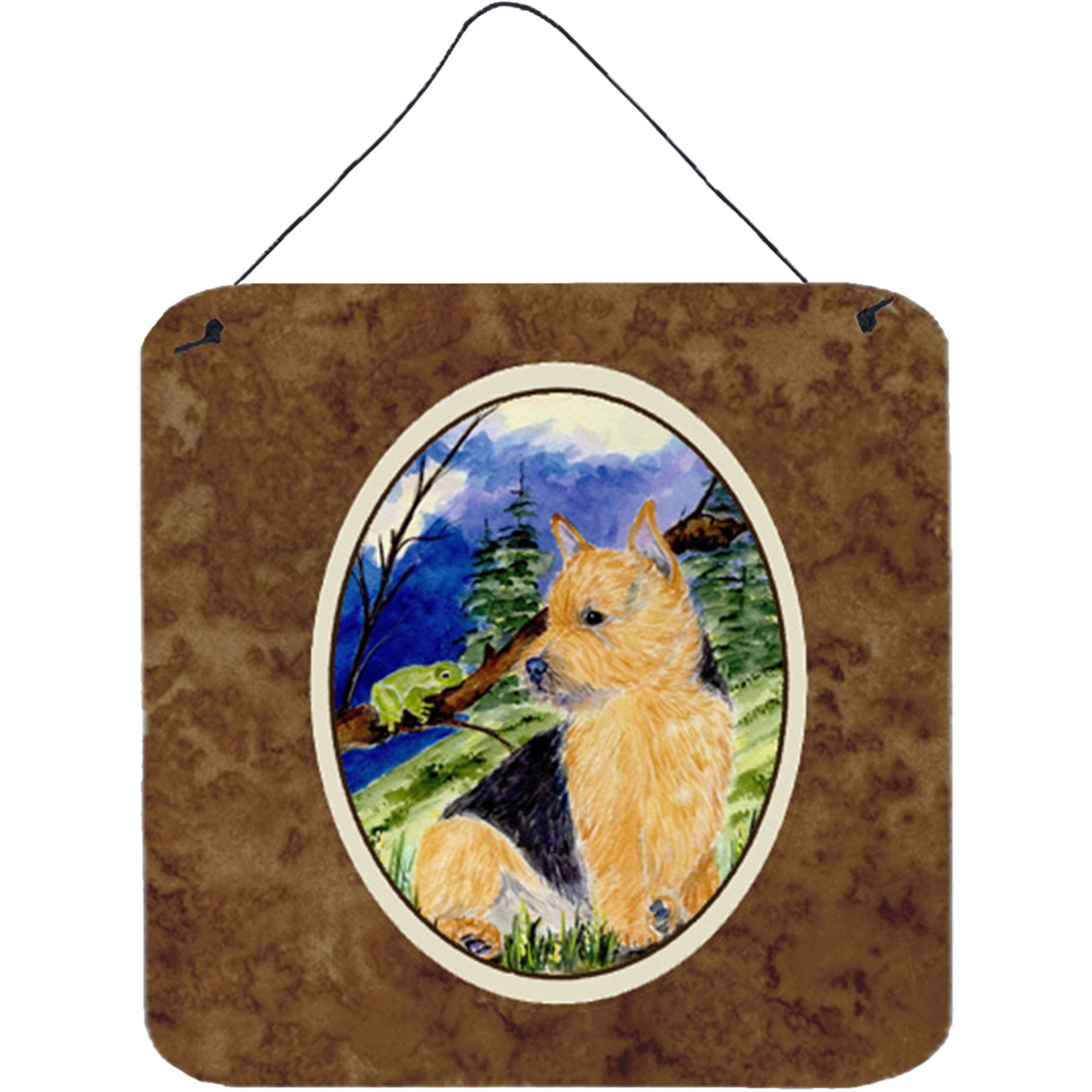 &quotCaroline's Treasures SS8984DS66 Norwich Terrier Aluminum Metal Wall or Door Hanging Prints, 6 x 6"", Multicolor"