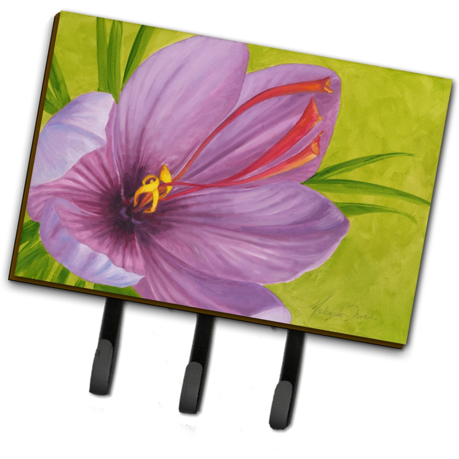 &quotCaroline's Treasures TMTR0227TH68 Floral by Malenda Trick Leash or Key Holder, Large, Multicolor"