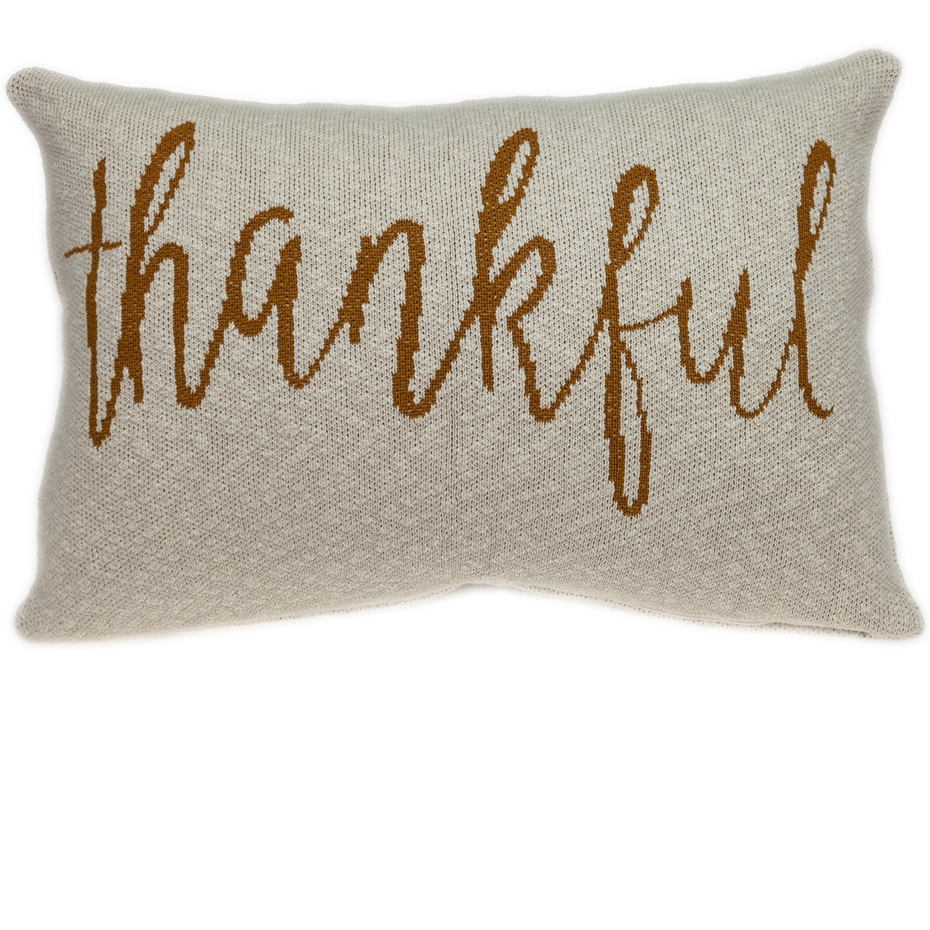 Parkland Collection Gold_Thankful Transitional Beige Throw Pillow