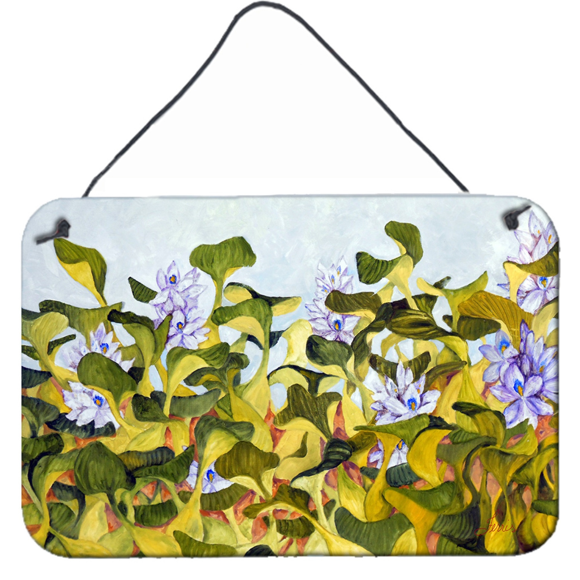 Water Hyacinth by Ferris Hotard Wall or Door Hanging Prints