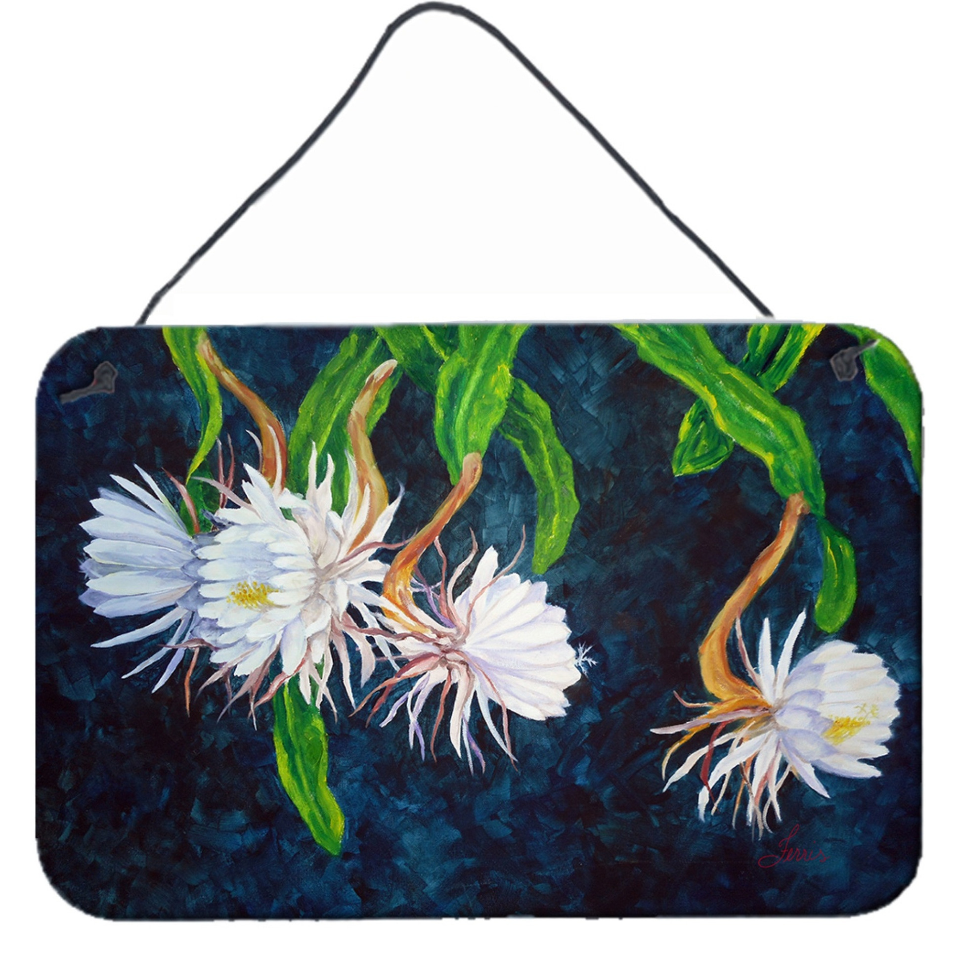 Night Blooming Cereus by Ferris Hotard Wall or Door Hanging Prints