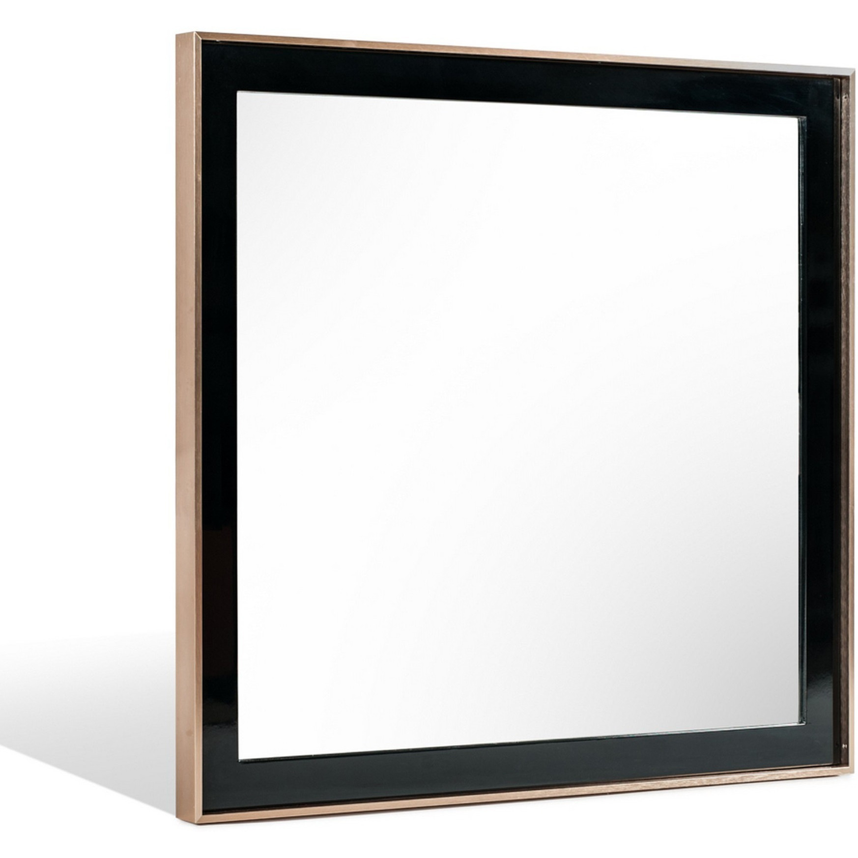 Dual Tone Stainless Steel Frame Wall Mirror, Black and Gold