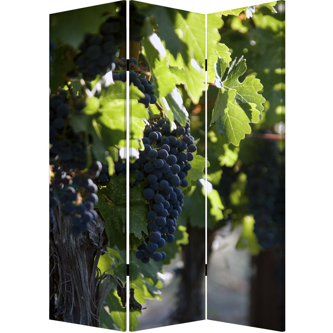 Screen Gems WINE COUNTRY SCREEN SG-151
