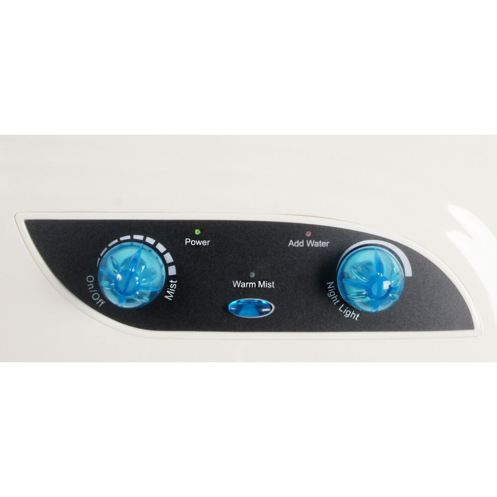 Dual mist humidifier with Ion exchange filter