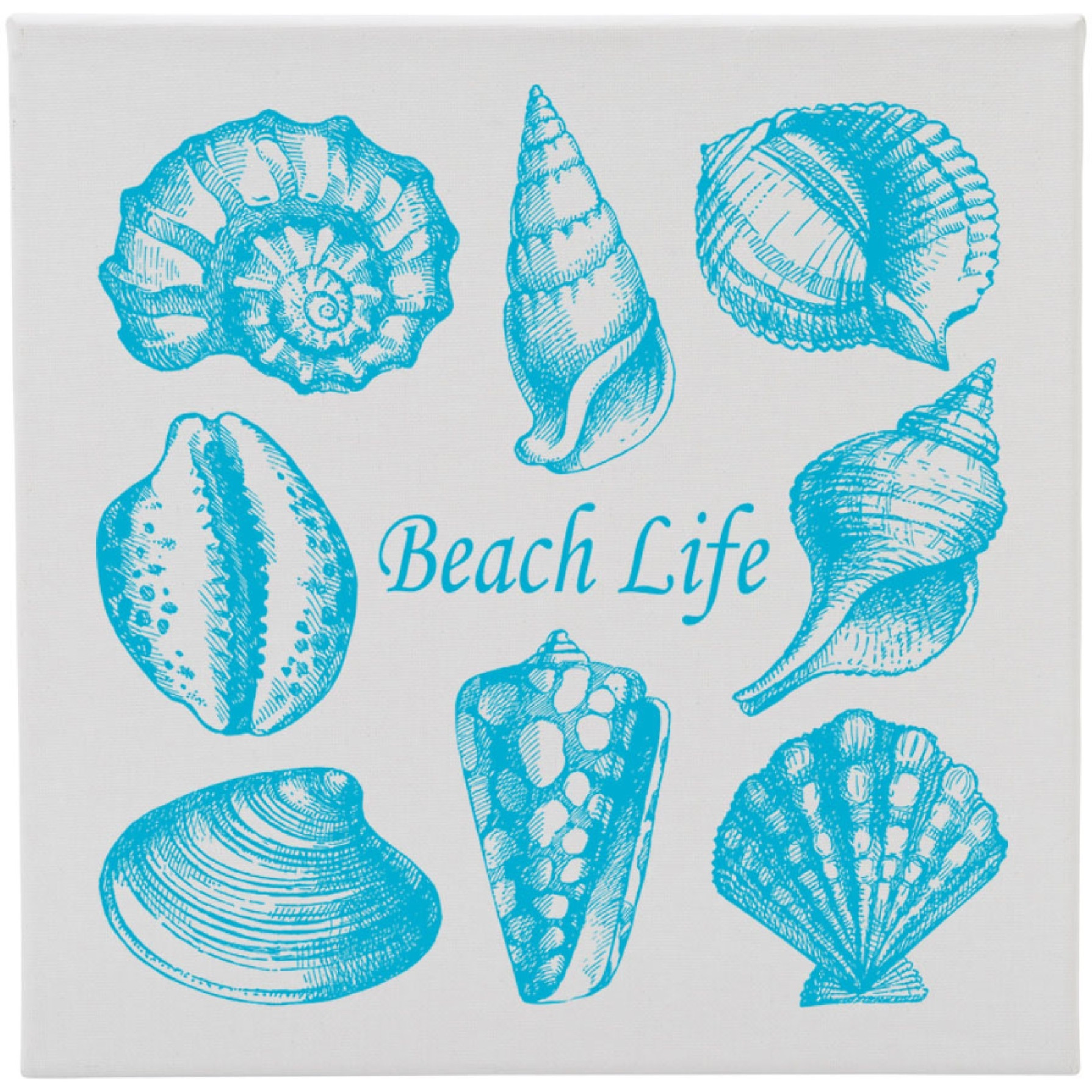 Canvas 12X12 Sea Shells Beach Life