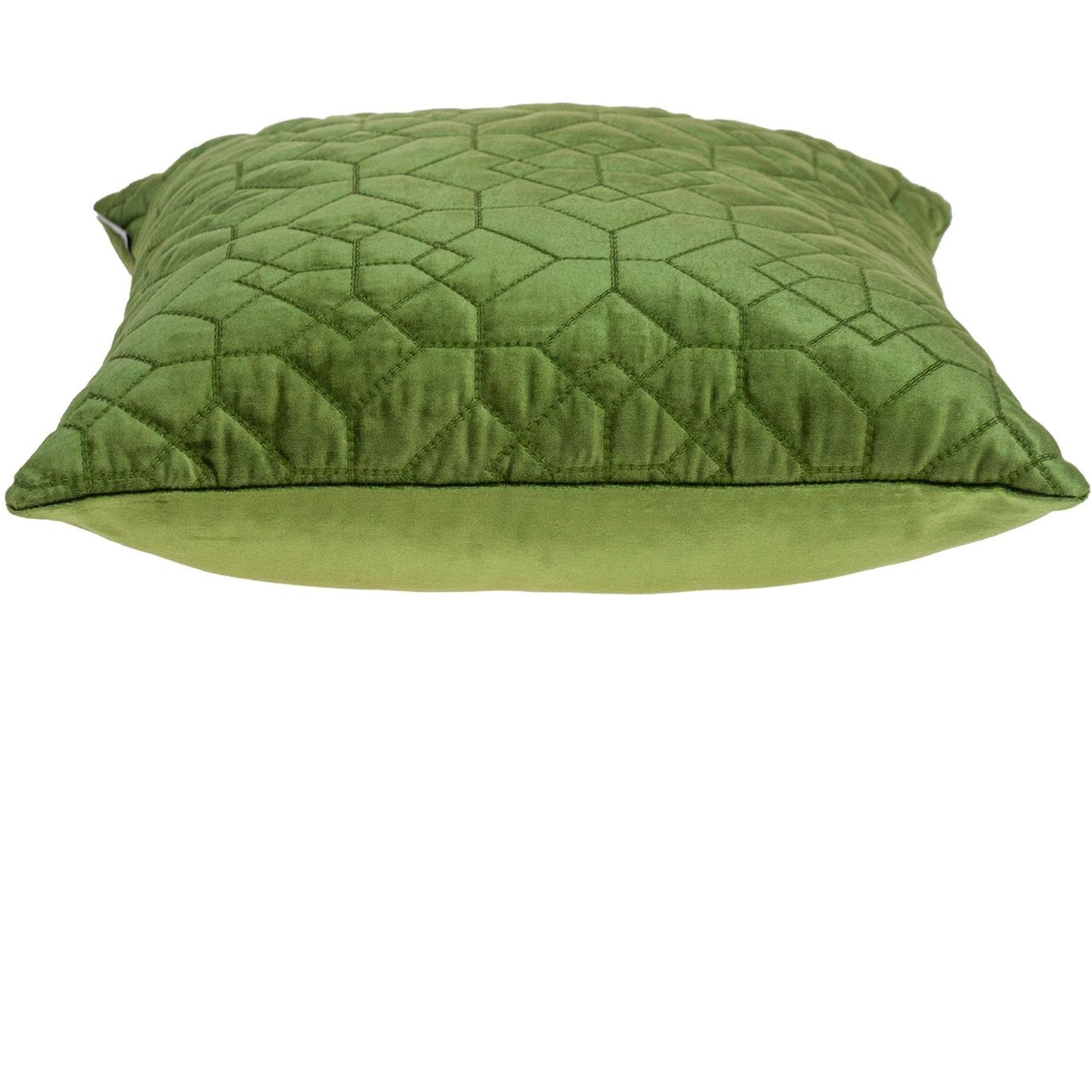 Parkland Collection Sora Transitional Olive Throw Pillow