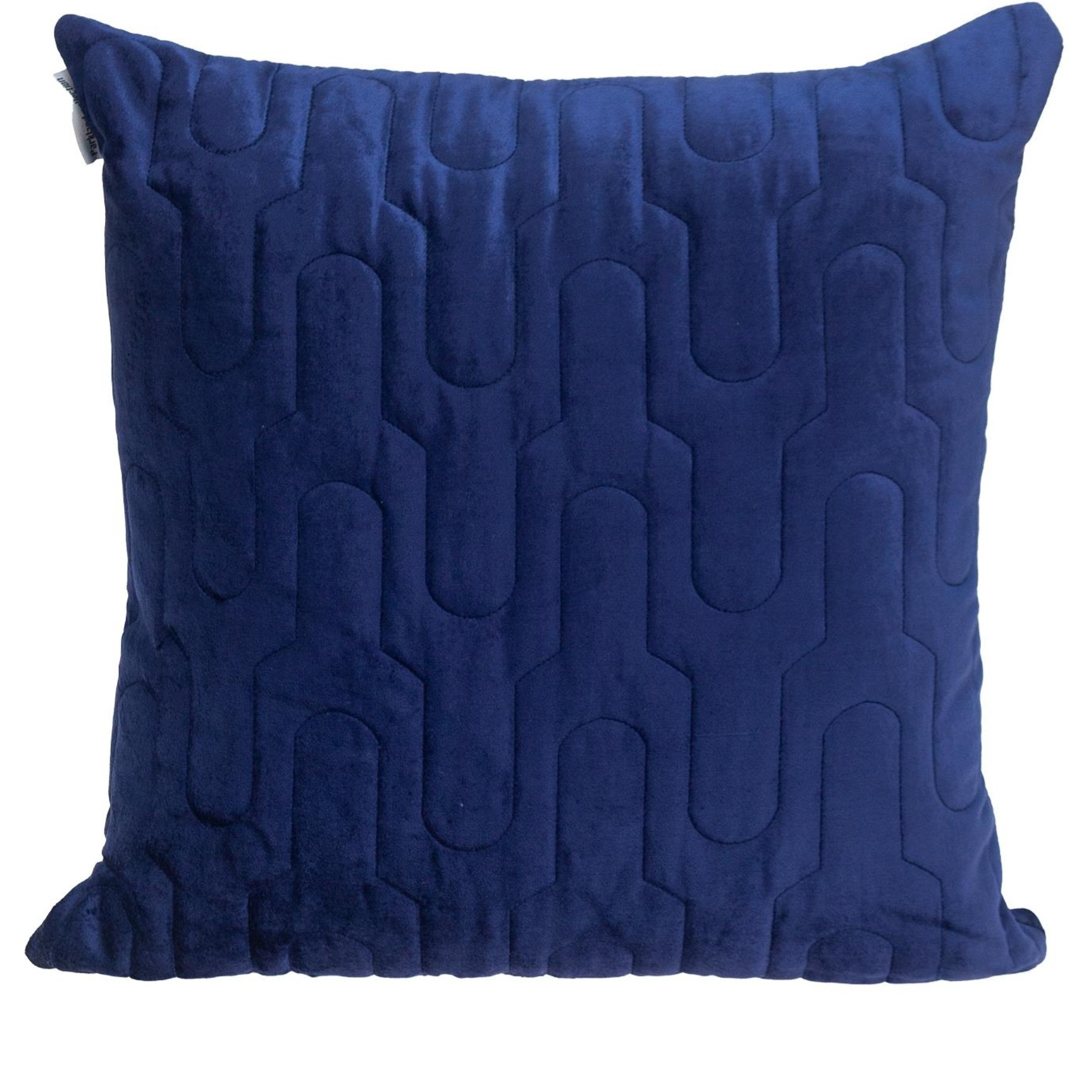 Parkland Collection Basil Transitional Blue Throw Pillow