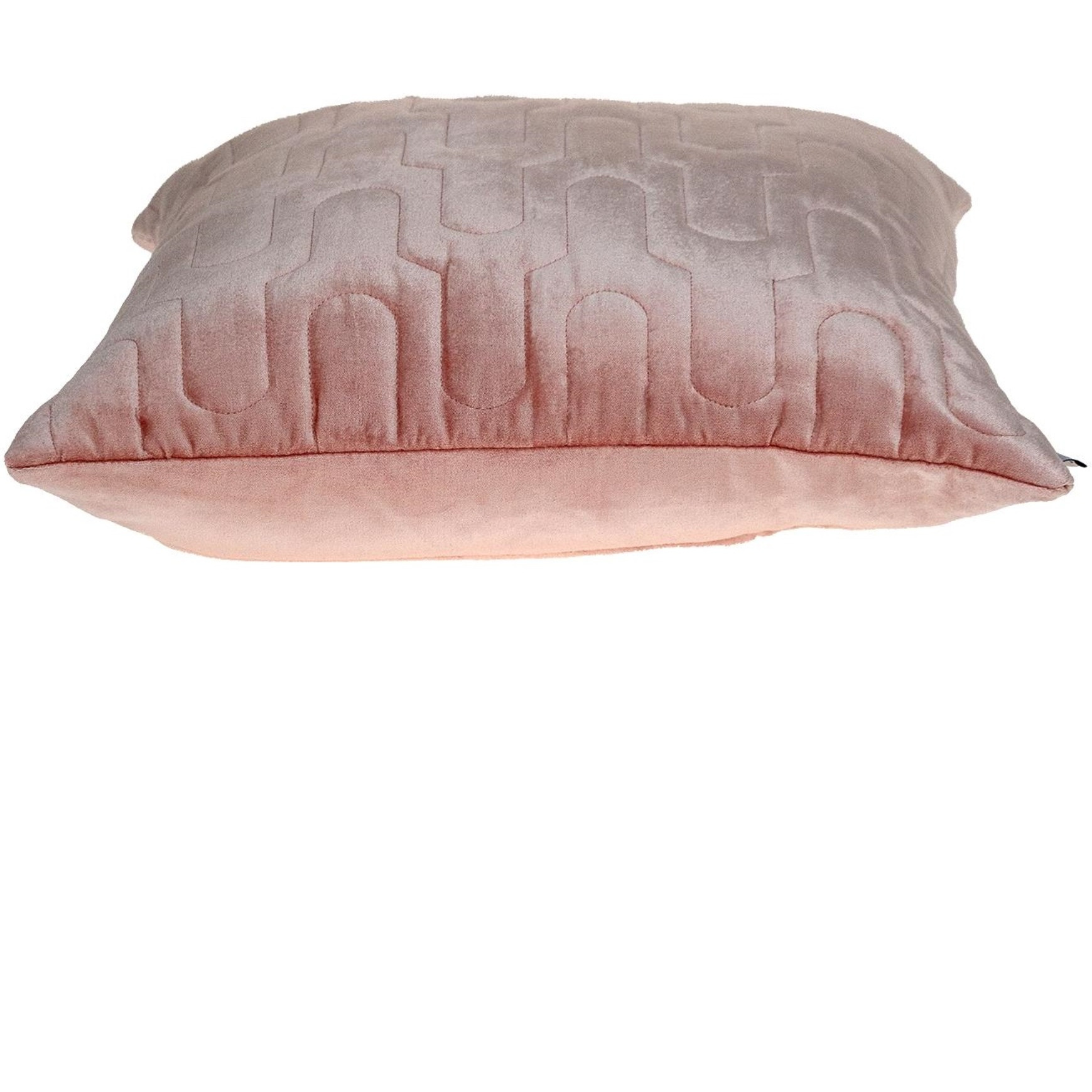 Parkland Collection Basil Transitional Pink Throw Pillow