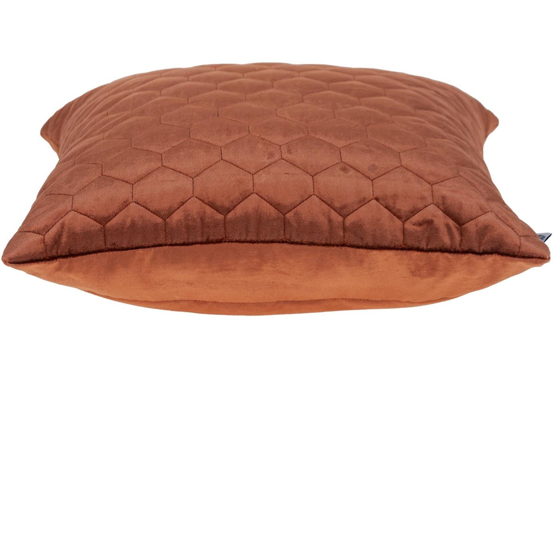 Parkland Collection Bazyli Transitional Burnt Orange Throw Pillow