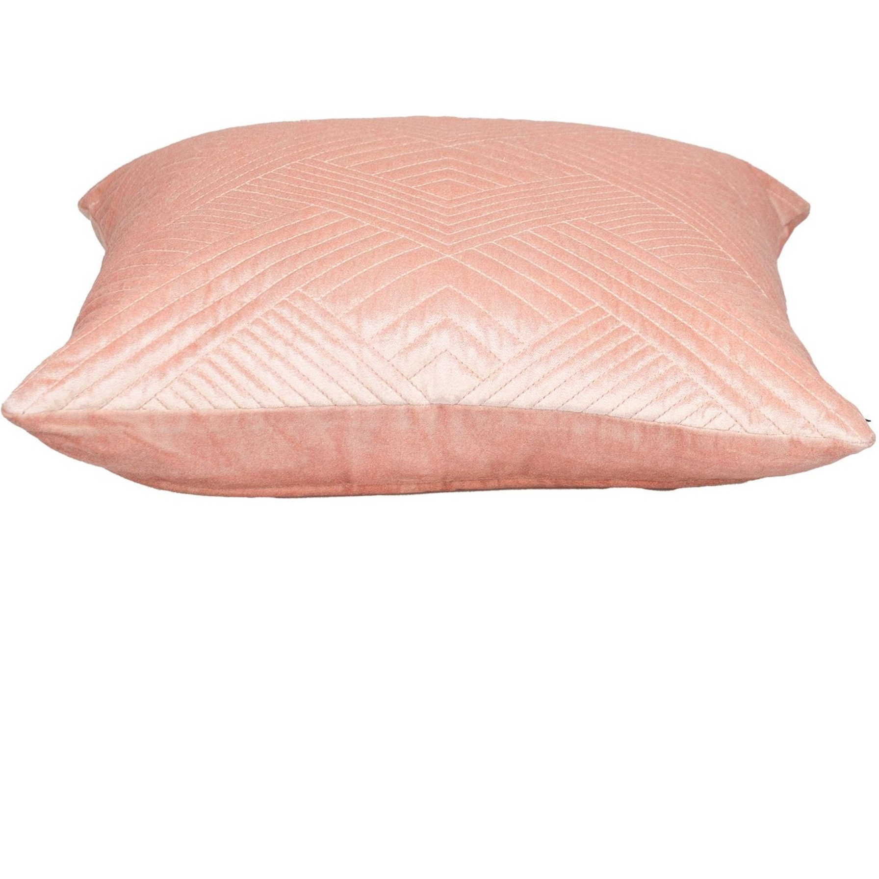 Parkland Collection Gaia Transitional Pink Throw Pillow