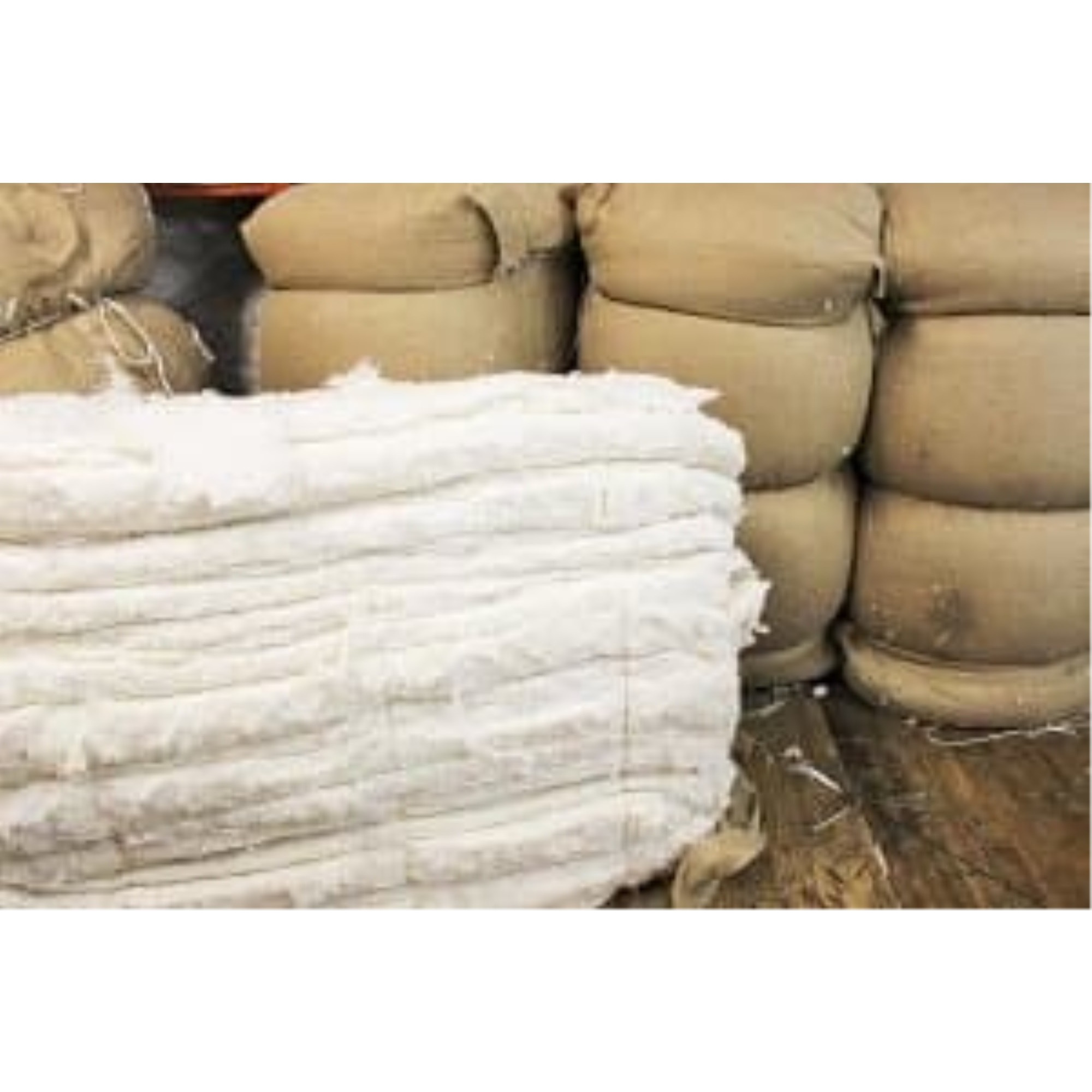 Green Cotton and Wool Zabuton with 2" Natural Latex core in 100% Cotton Fabric Case