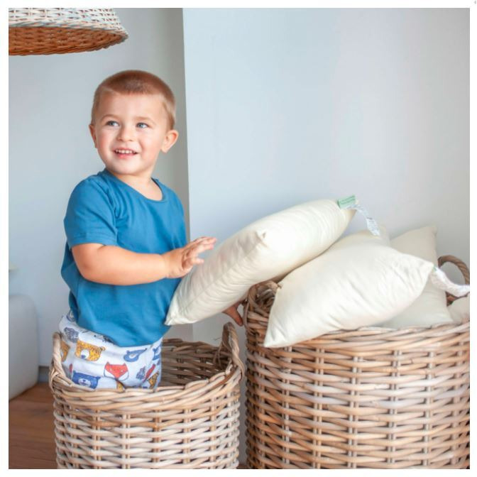 Wool Wool Toddler Pillow w/zip w/zip in Org Sateen Sheeting Case
