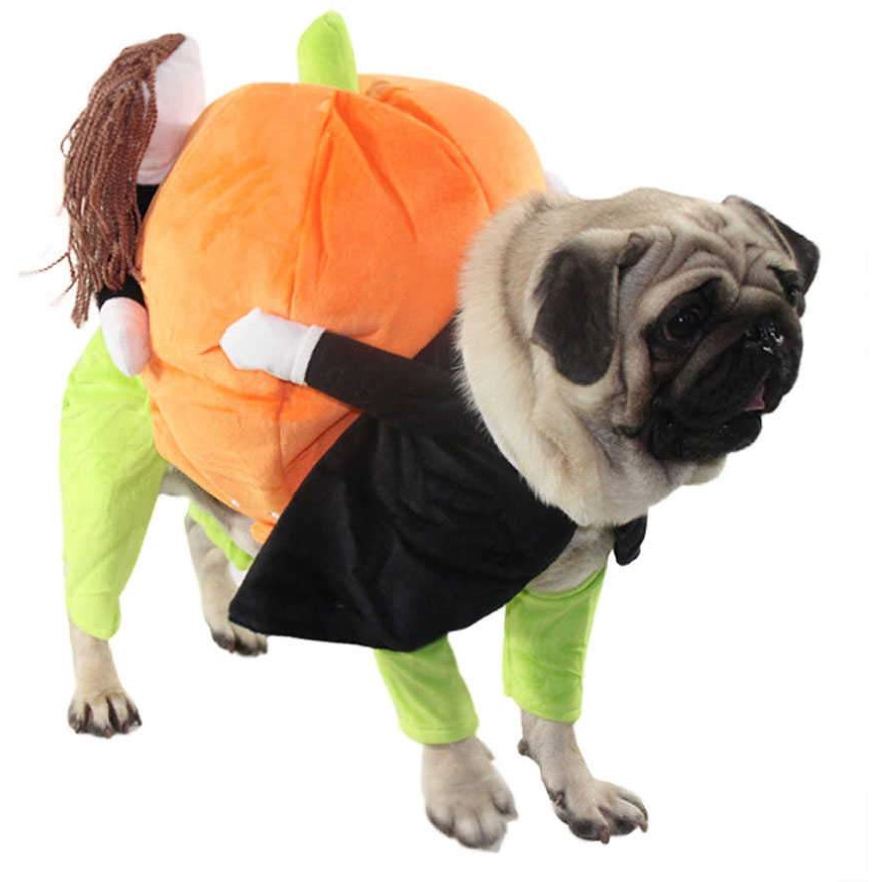 Pet Life 'Pumpkin Mon' Halloween Pet Dog Costume / Medium-ORANGE