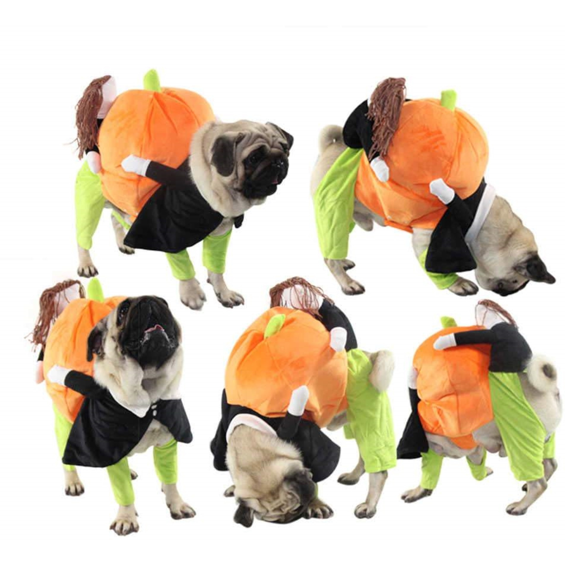 Pet Life 'Pumpkin Mon' Halloween Pet Dog Costume / Medium-ORANGE