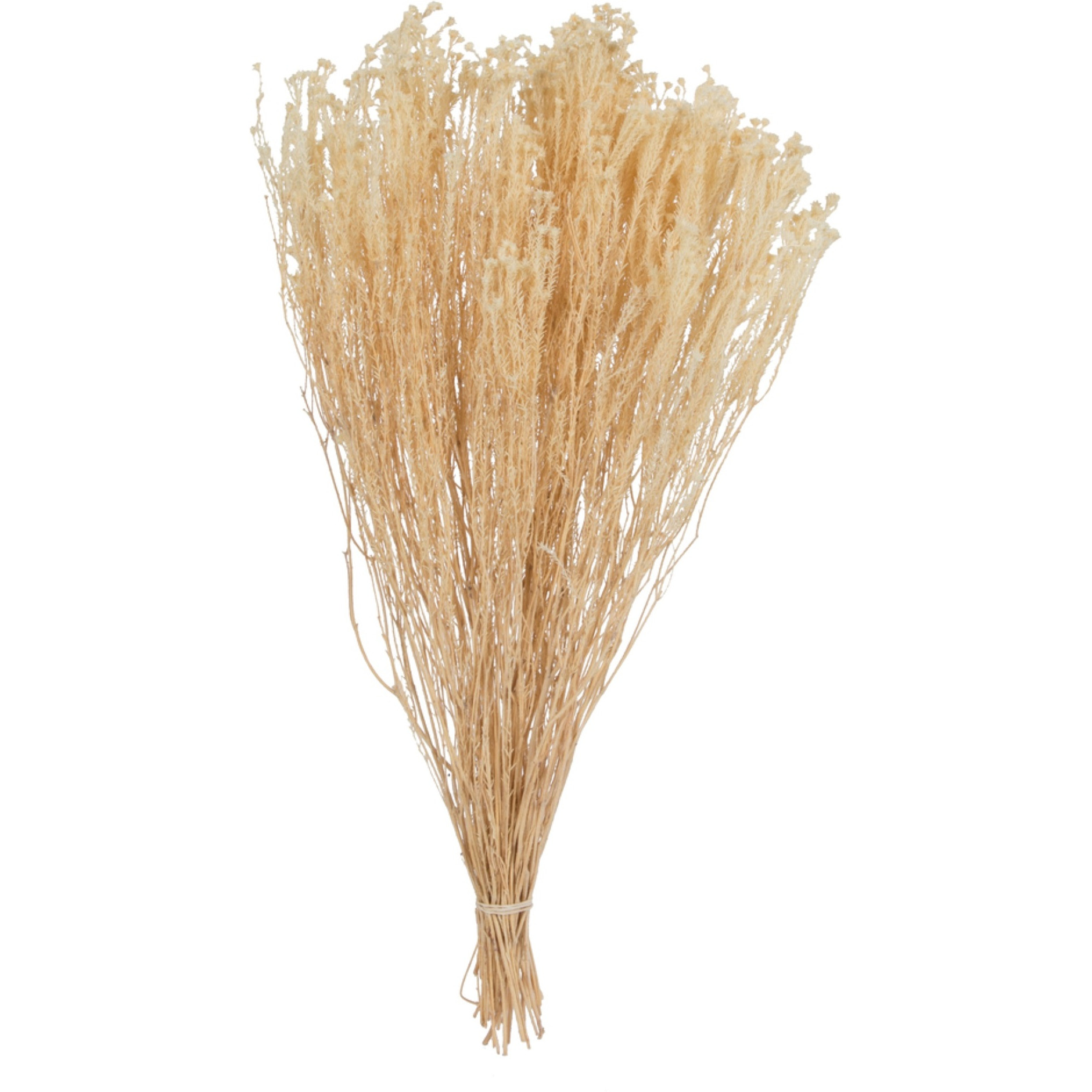 19&quotx4" Staavia Bleached 3.5oz Bunch
