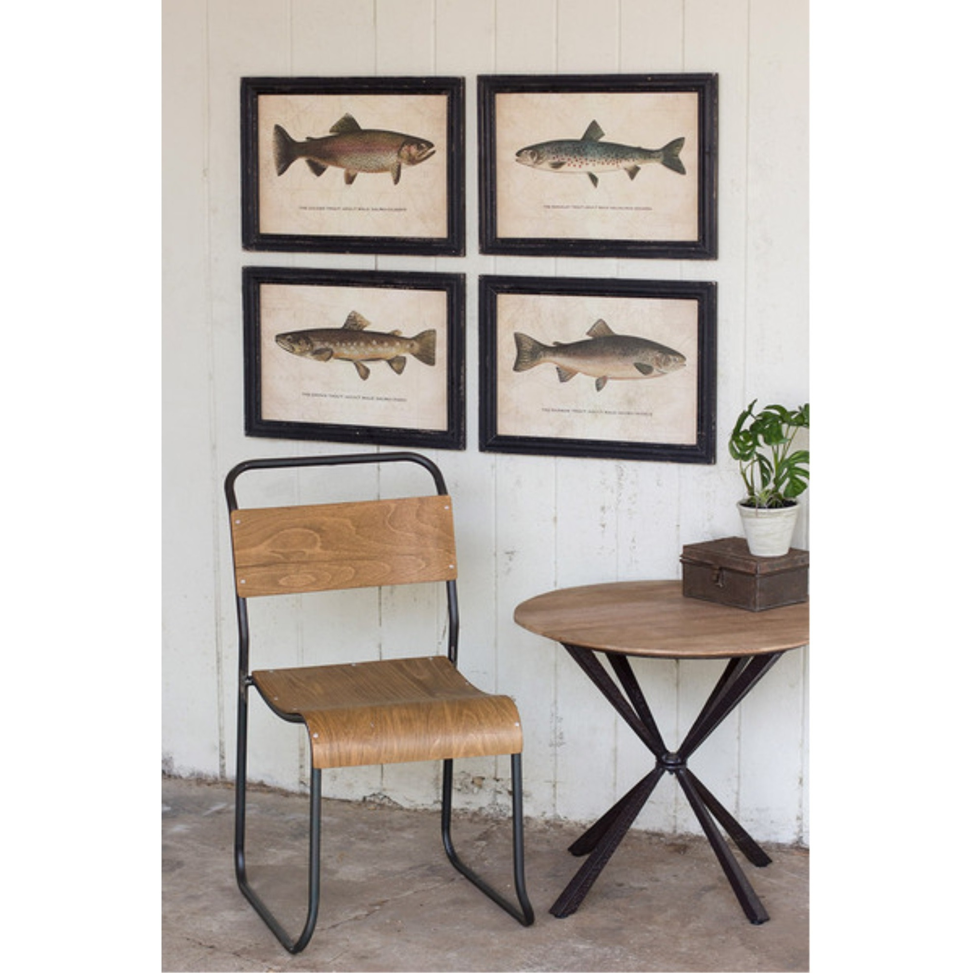 SET OF FOUR TROUT PRINTS UNDER GLASS