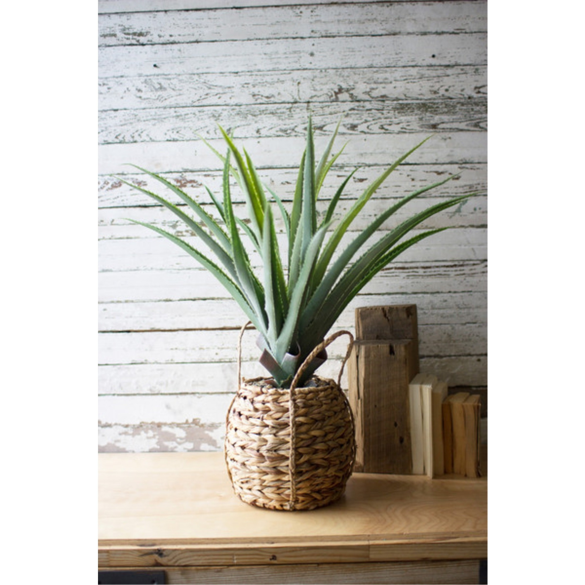 ARTIFICIAL ALOE IN A WOVEN POT