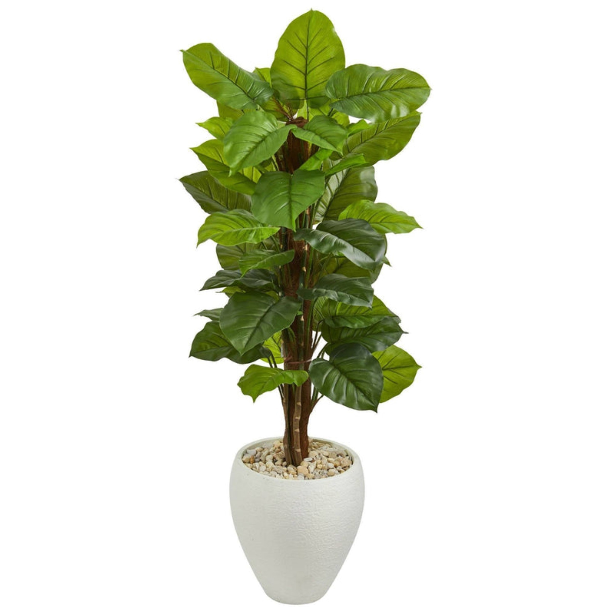 5 Large Leaf Philodendron Artificial Plant in White Oval Planter (Real Touch)