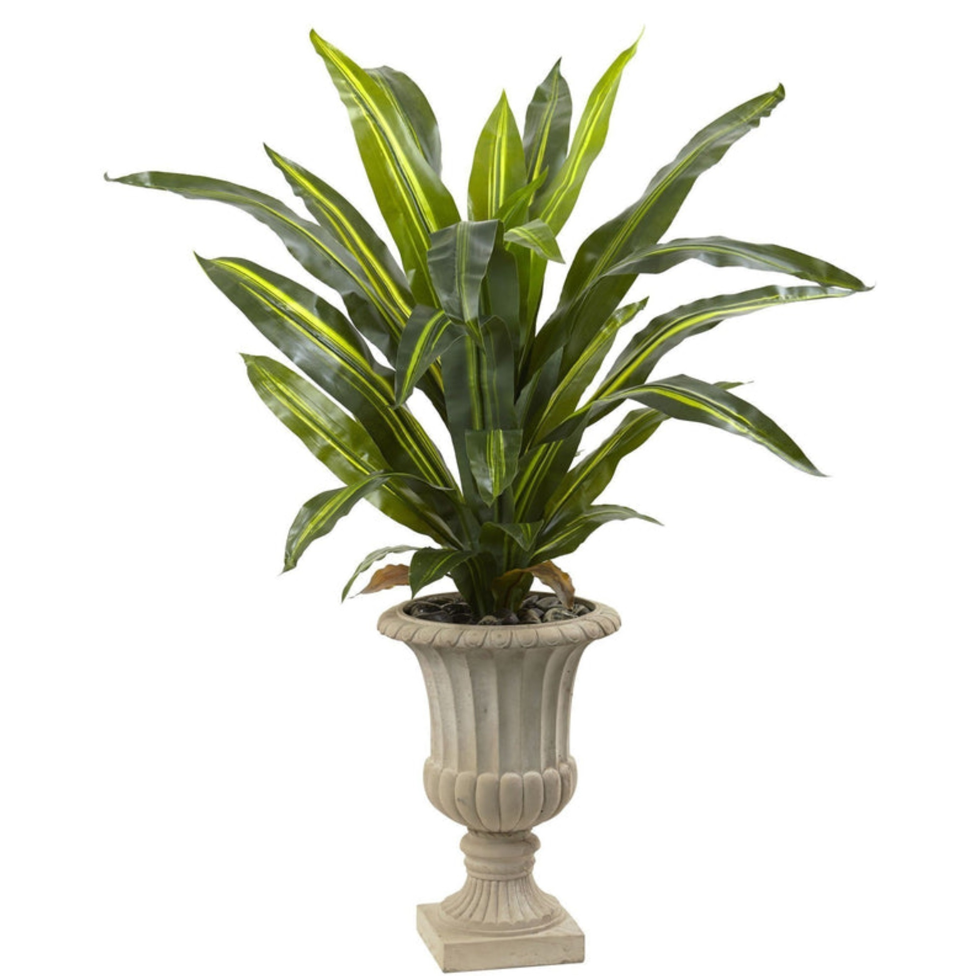 5 Dracaena Plant with Urn (Real Touch)