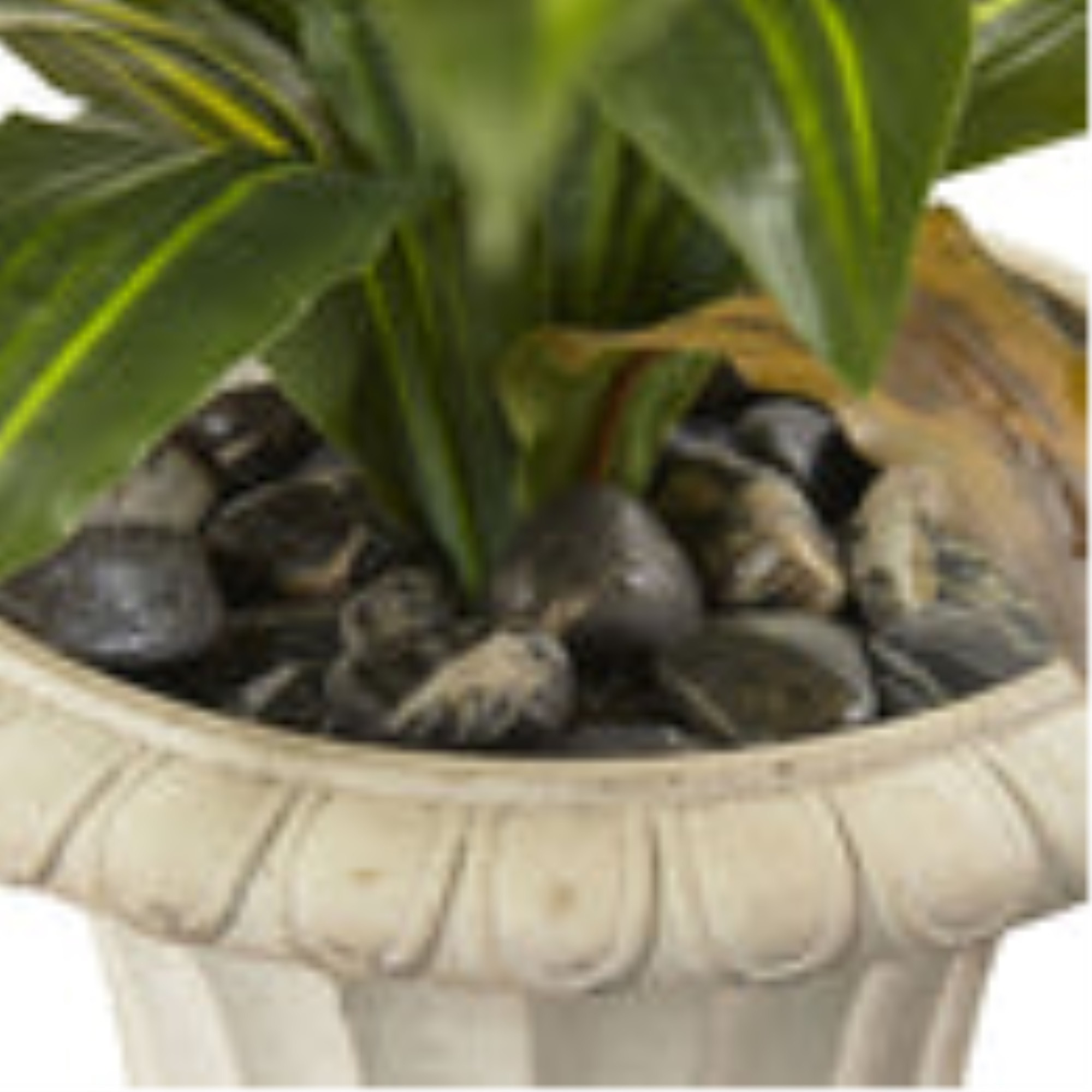 5 Dracaena Plant with Urn (Real Touch)
