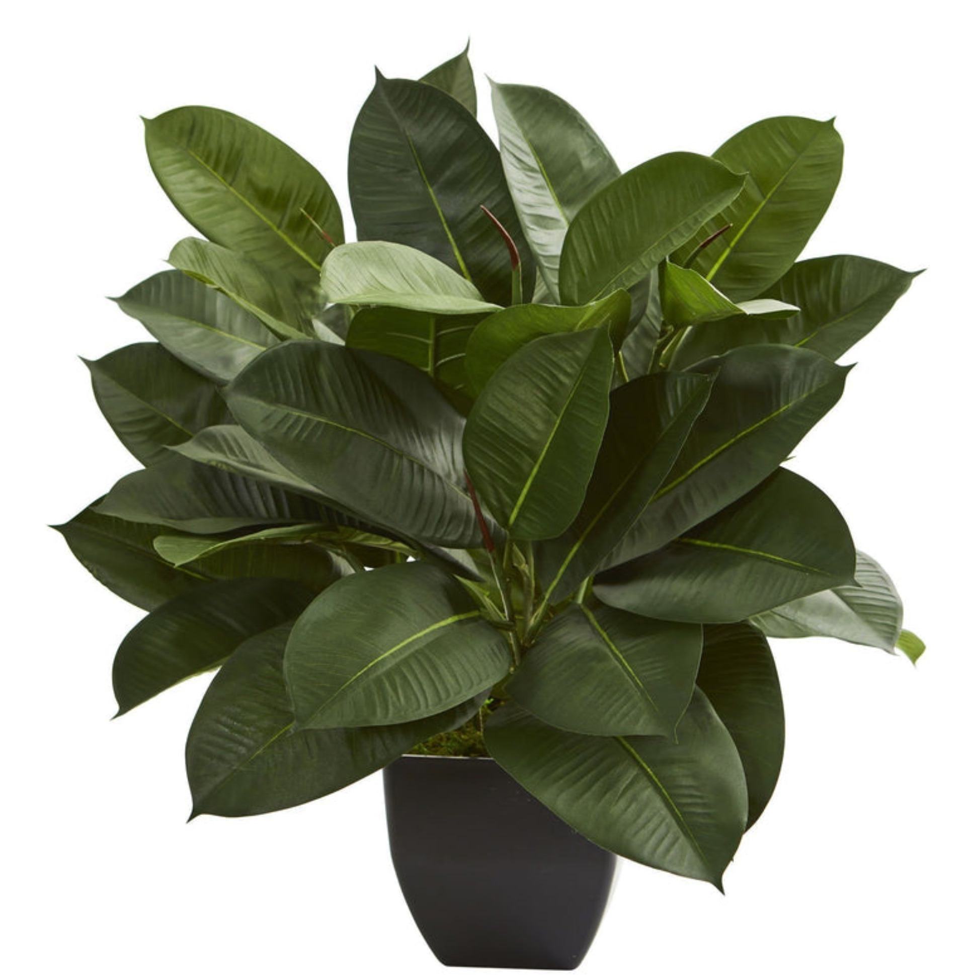 Oak Ficus Artificial Plant
