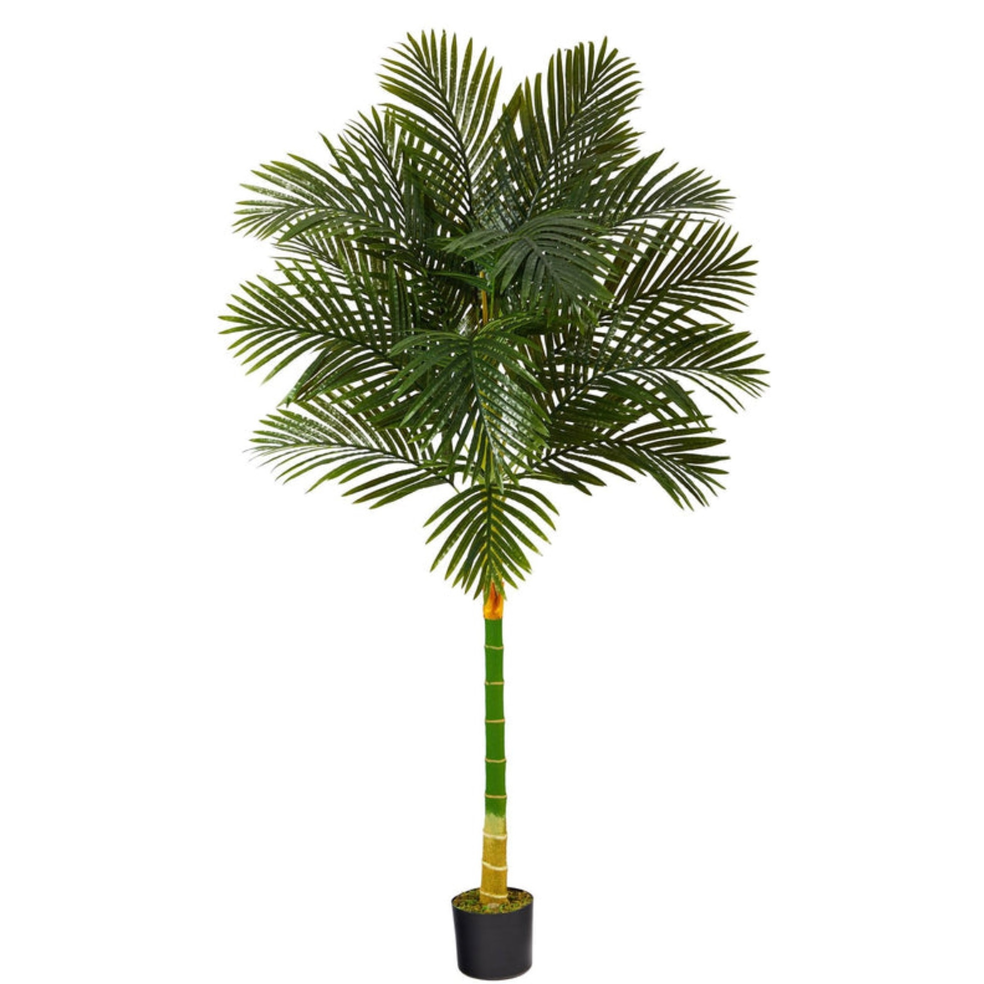 6 Single Stalk Golden Cane Artificial Palm Tree