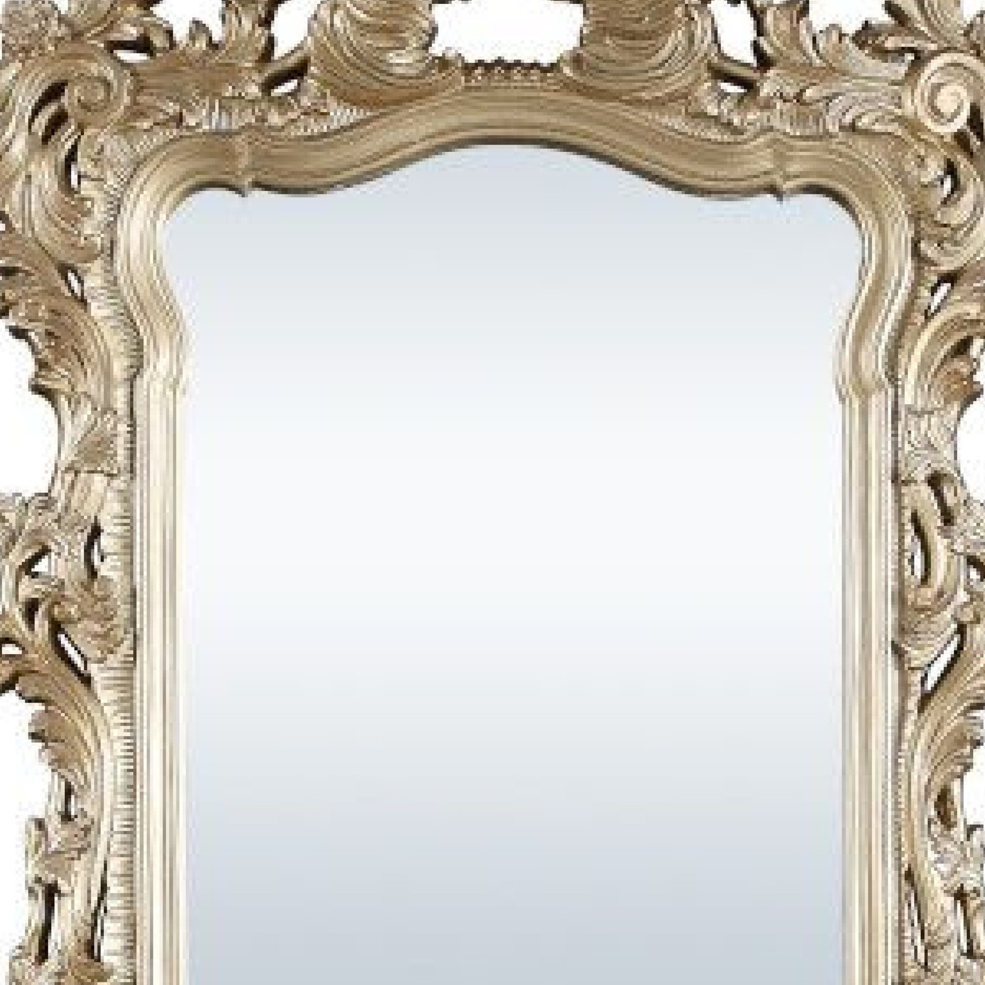 56 Inch Wall Mirror, Ornate Carving, Champagne Gold