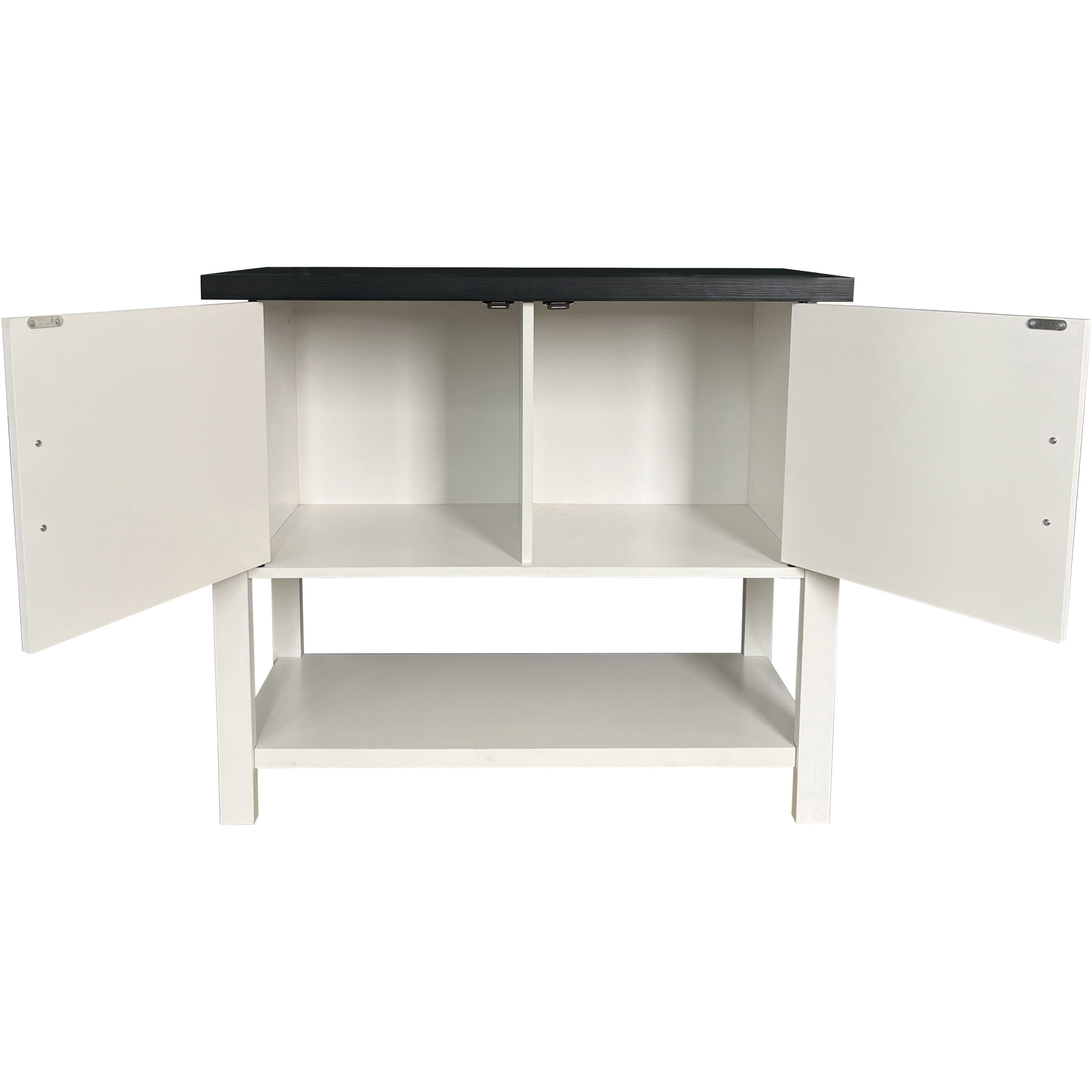 Duquette 2-Door Modern Storage Console Table, White & Black Wood