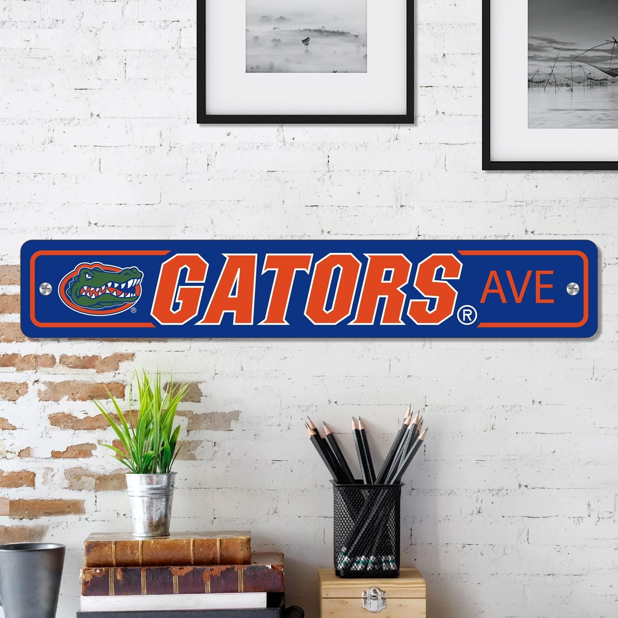 Florida Gators Team Color Street Sign Dcor 4in. X 24in. Lightweight