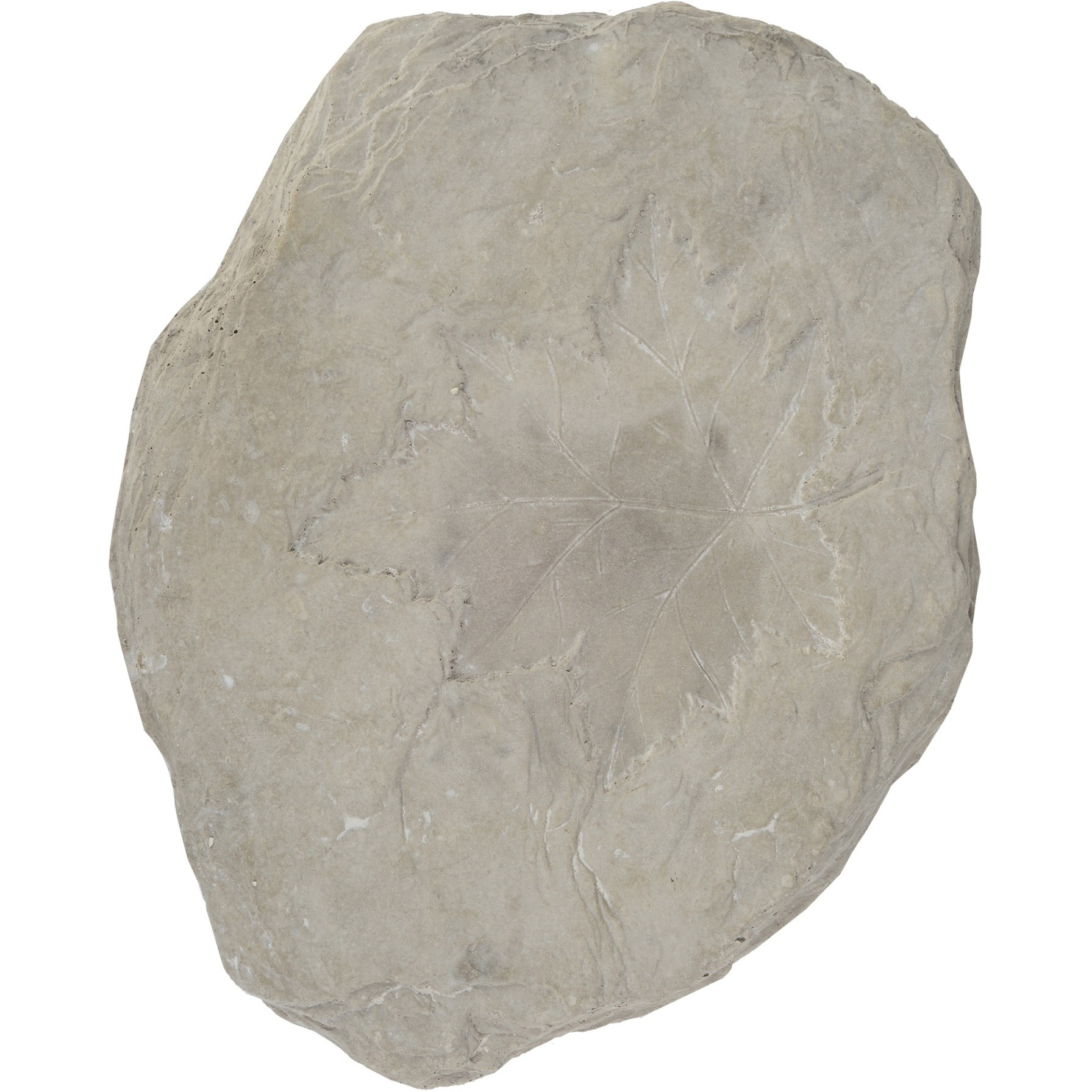 Concrete Fossil Accent Stone with Maple Leaf Imprint, White