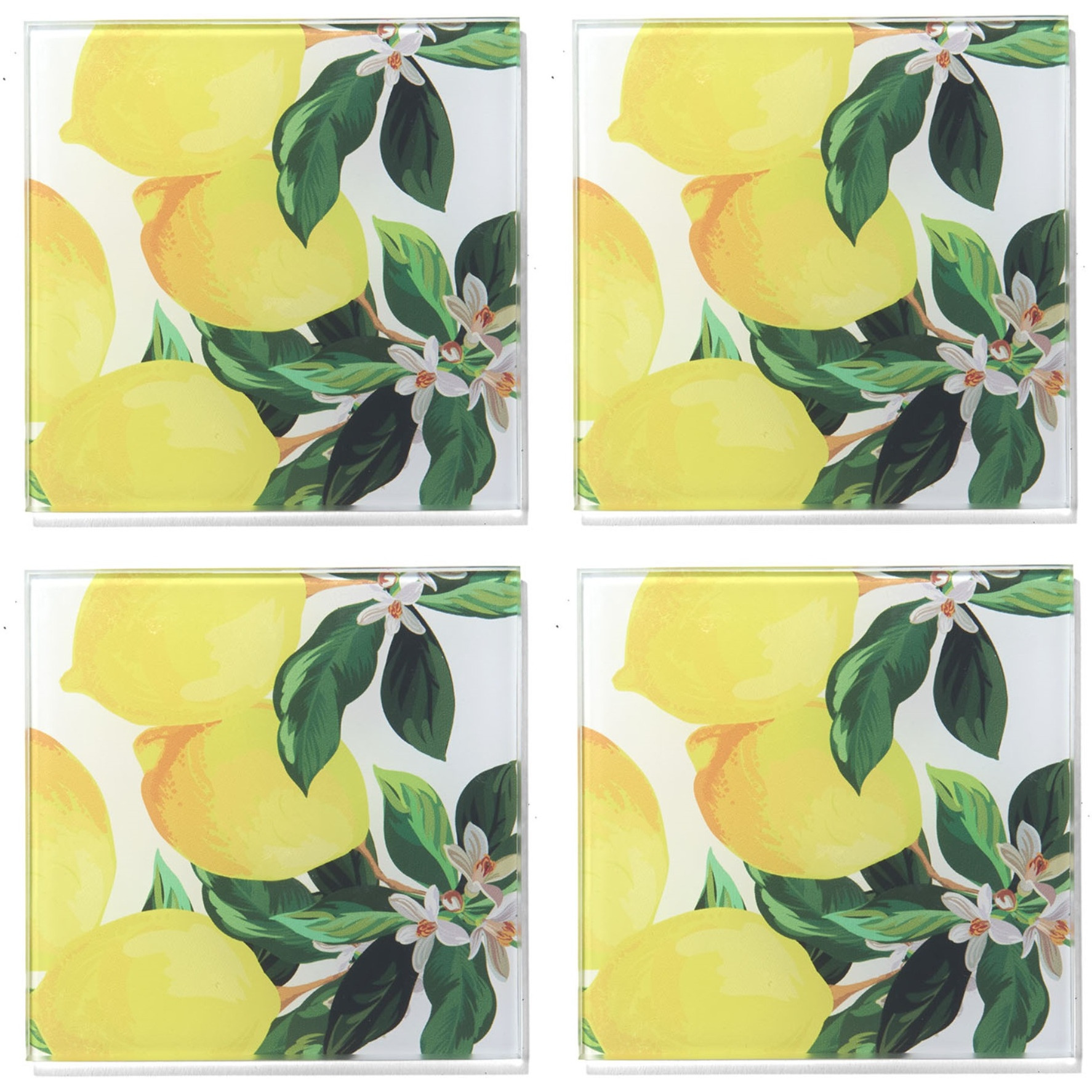 Meyer Lemons Set of 4 Glass Coasters 4 X 4"