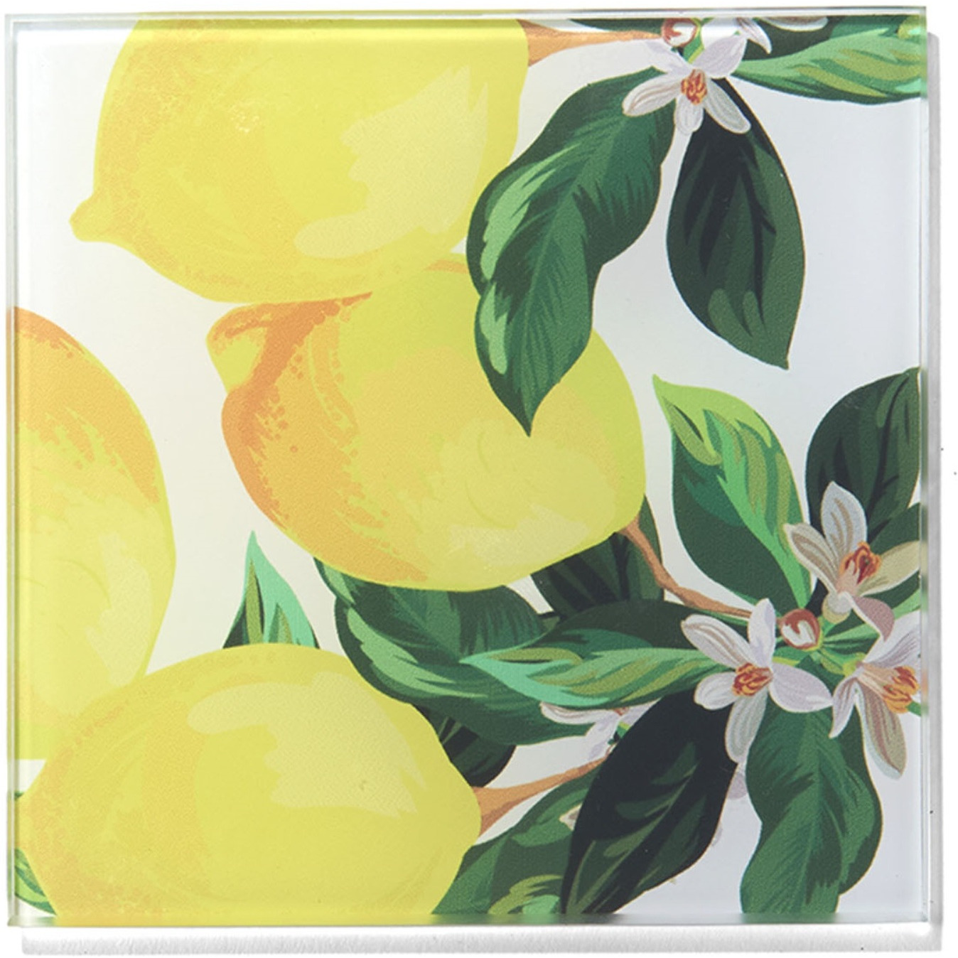 Meyer Lemons Set of 4 Glass Coasters 4 X 4"