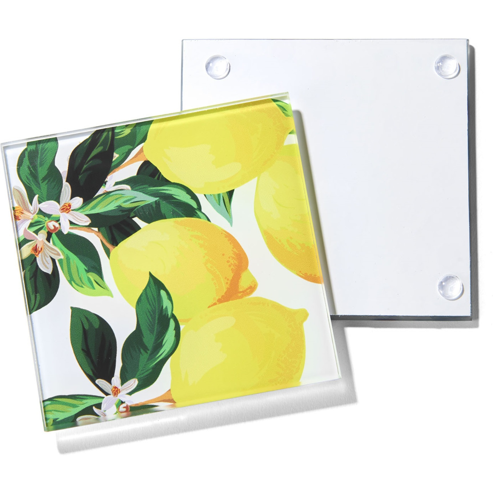 Meyer Lemons Set of 4 Glass Coasters 4 X 4"